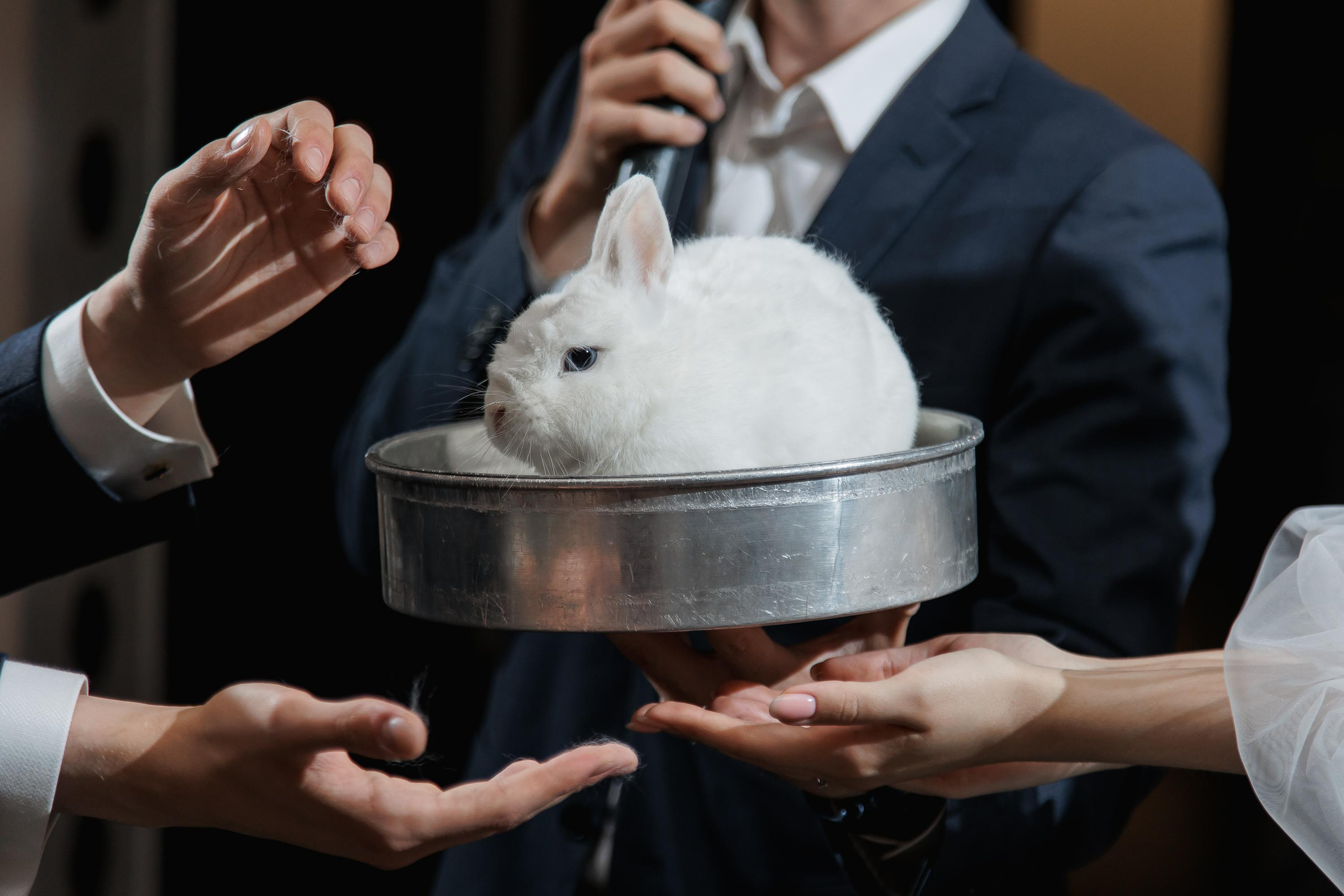 Свадьба Софьи и Алексея