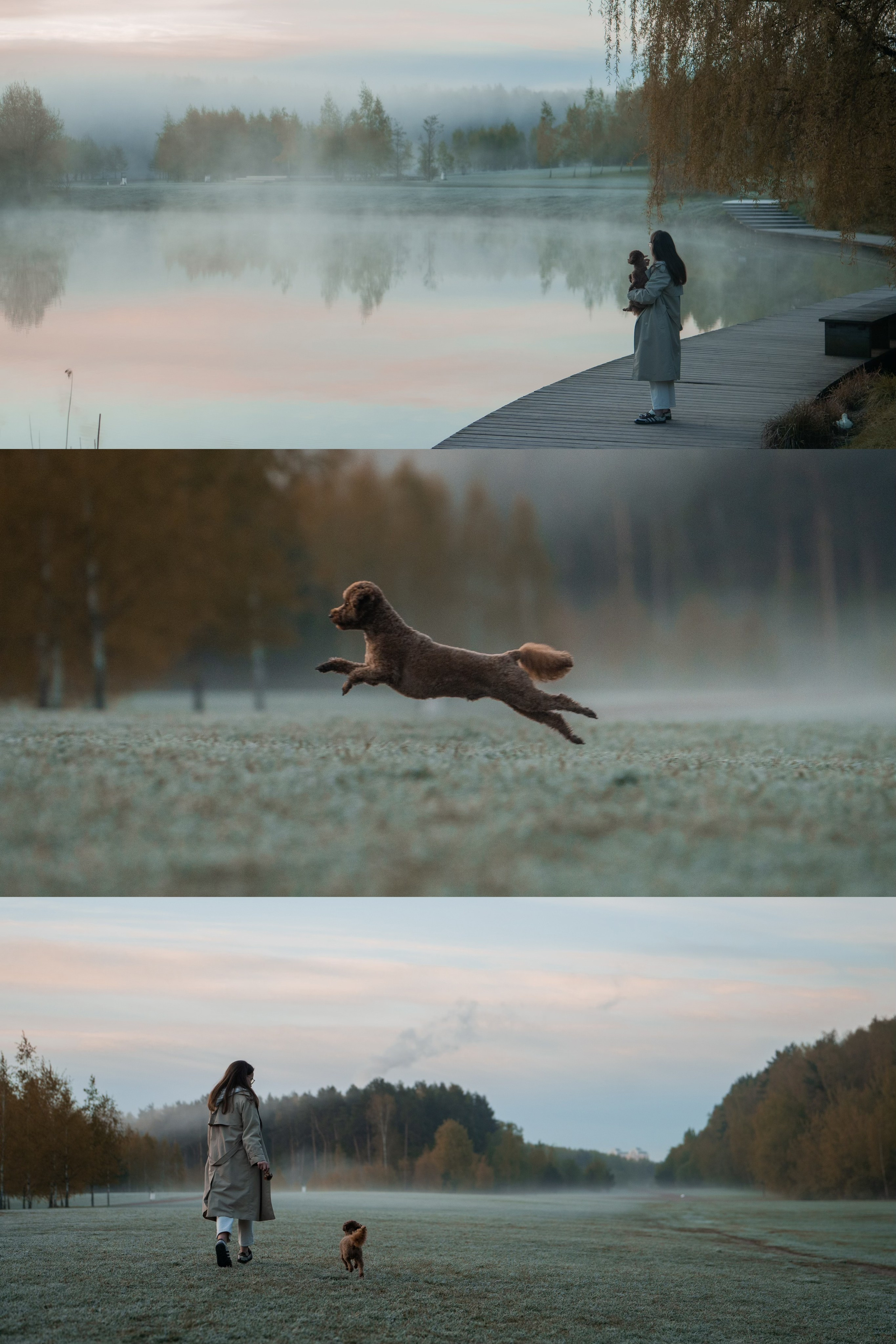 Лия и Чарли. Фотограф анималист в Москве и Санкт-Петербурге Свиридова Анна