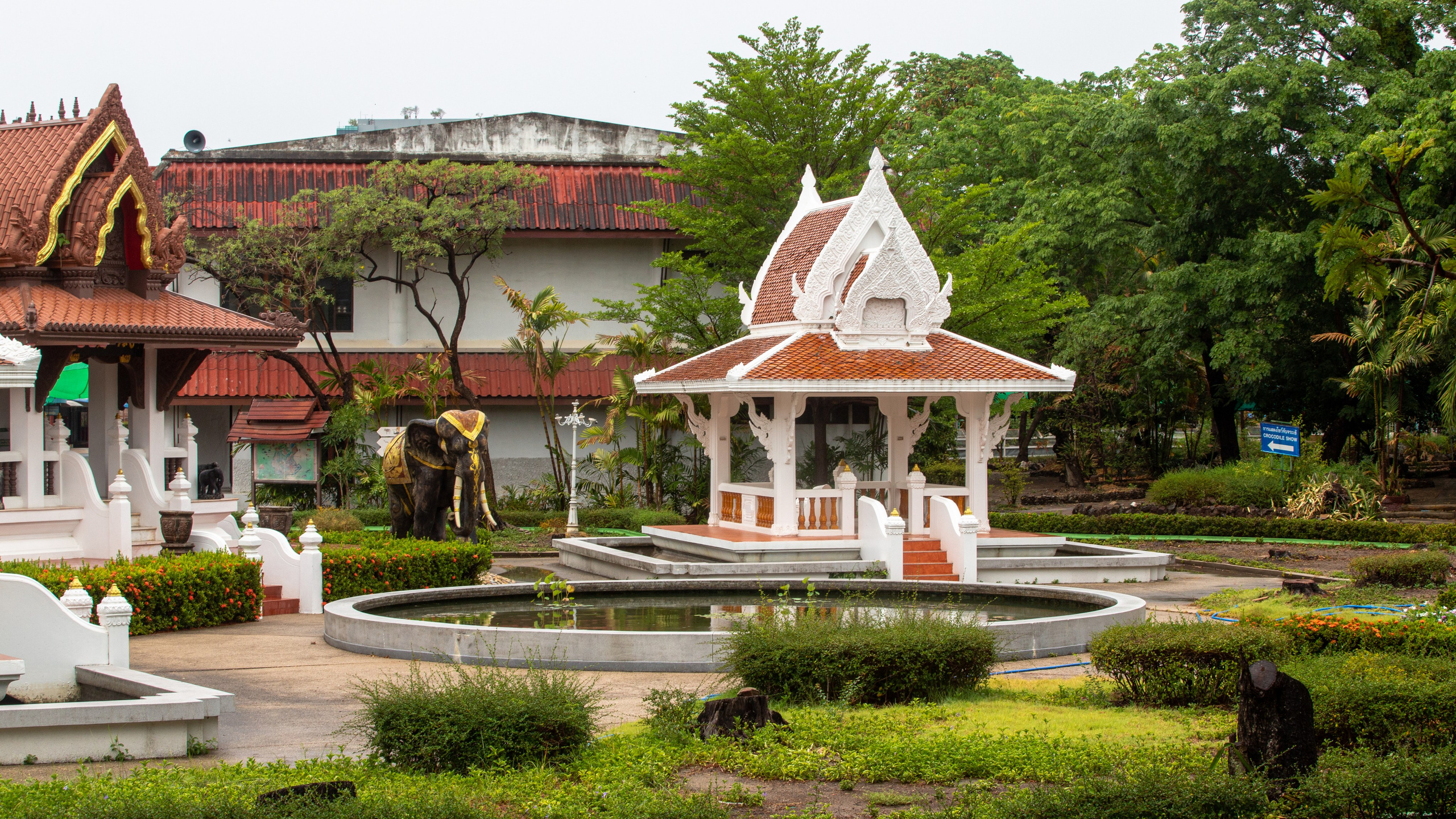 Samut Prakan Crocodile Farm & Zoo. Photographer Sonkina Tatiana (Tanya Ash)