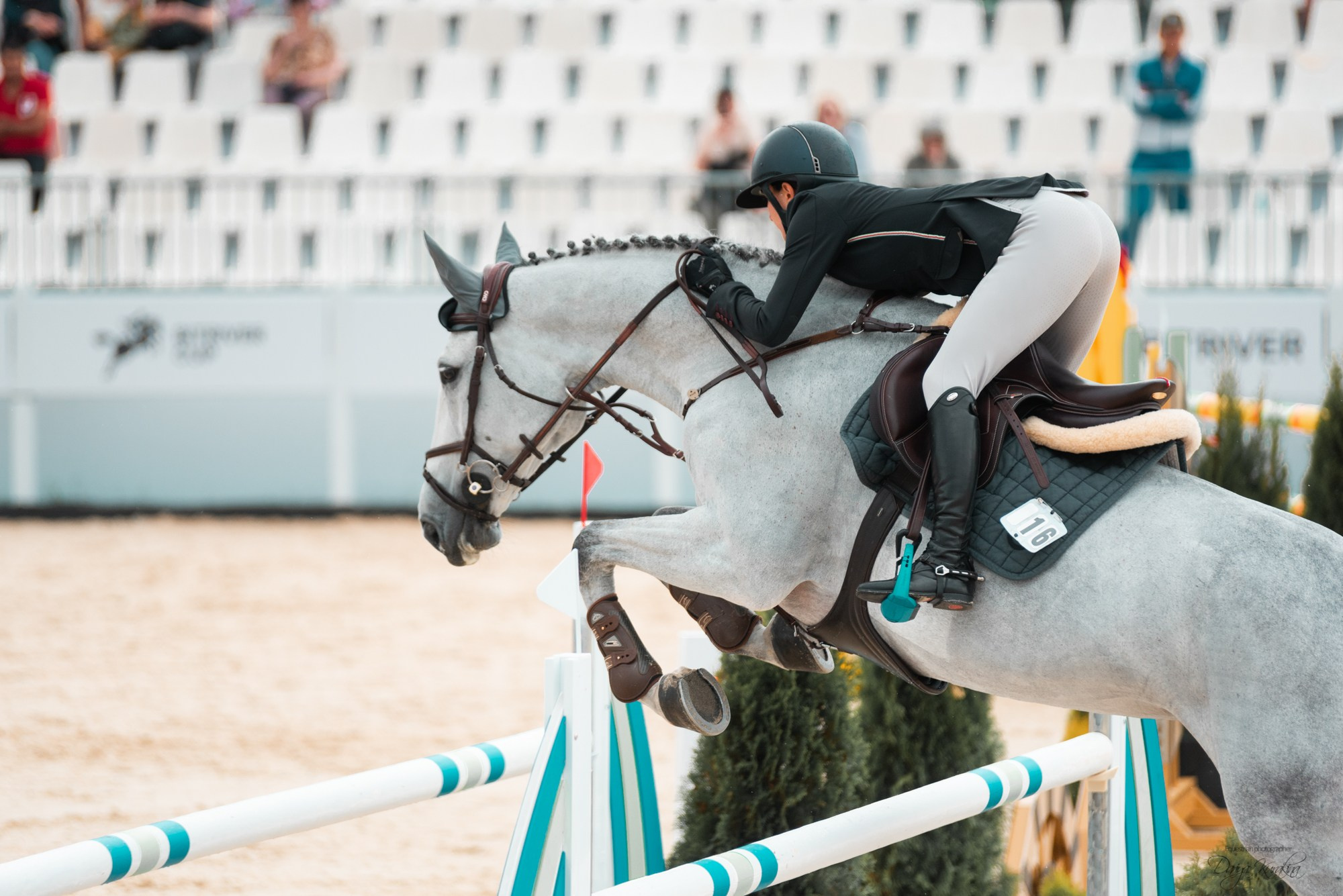 BITRIVER CUP 2023. Конный фотограф Куракина Дарья • Фотосессии с лошадьми