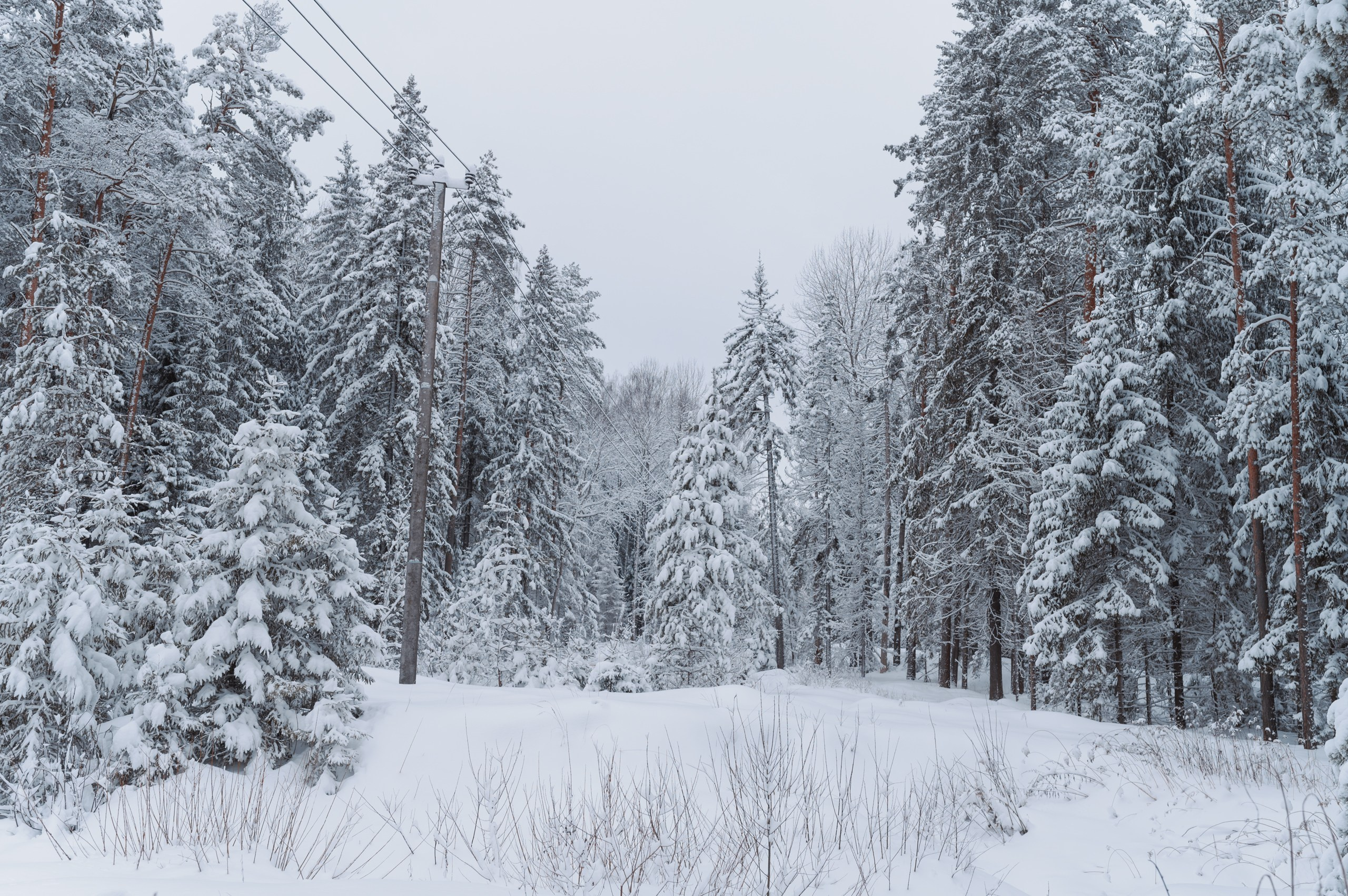 Январь. Komonev