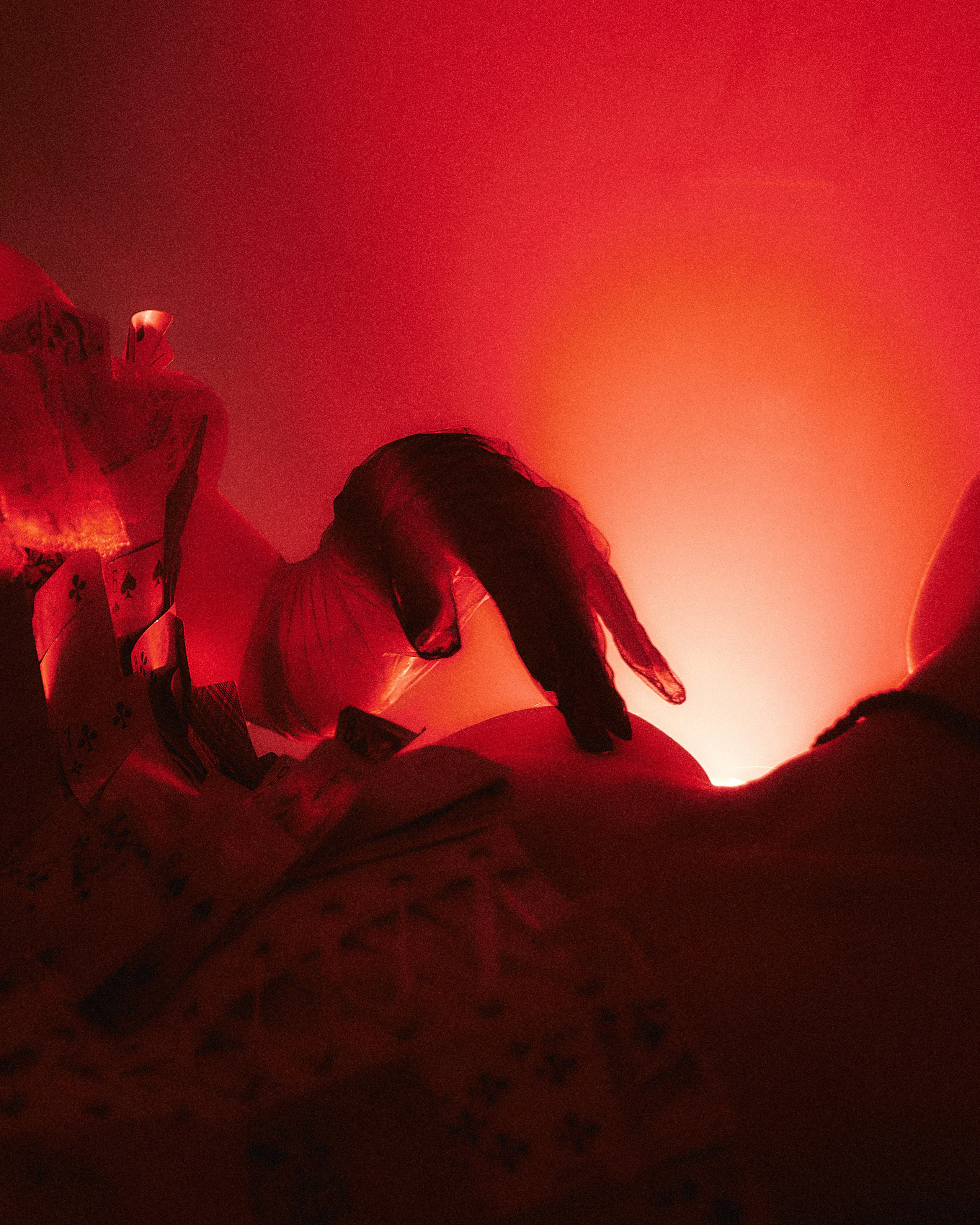 Art. Анастасия Зверева