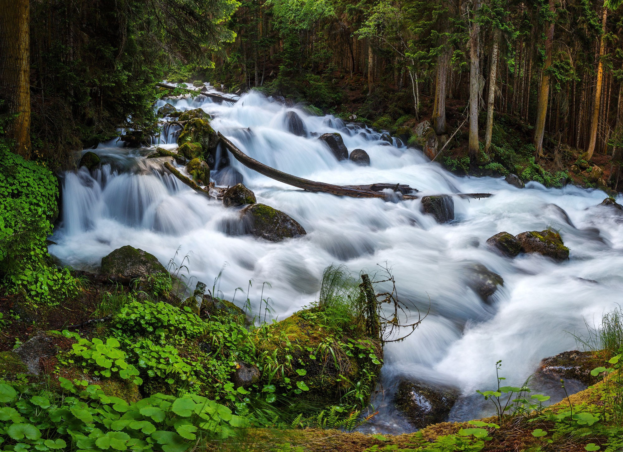 Свадебный фотограф в Геленджике