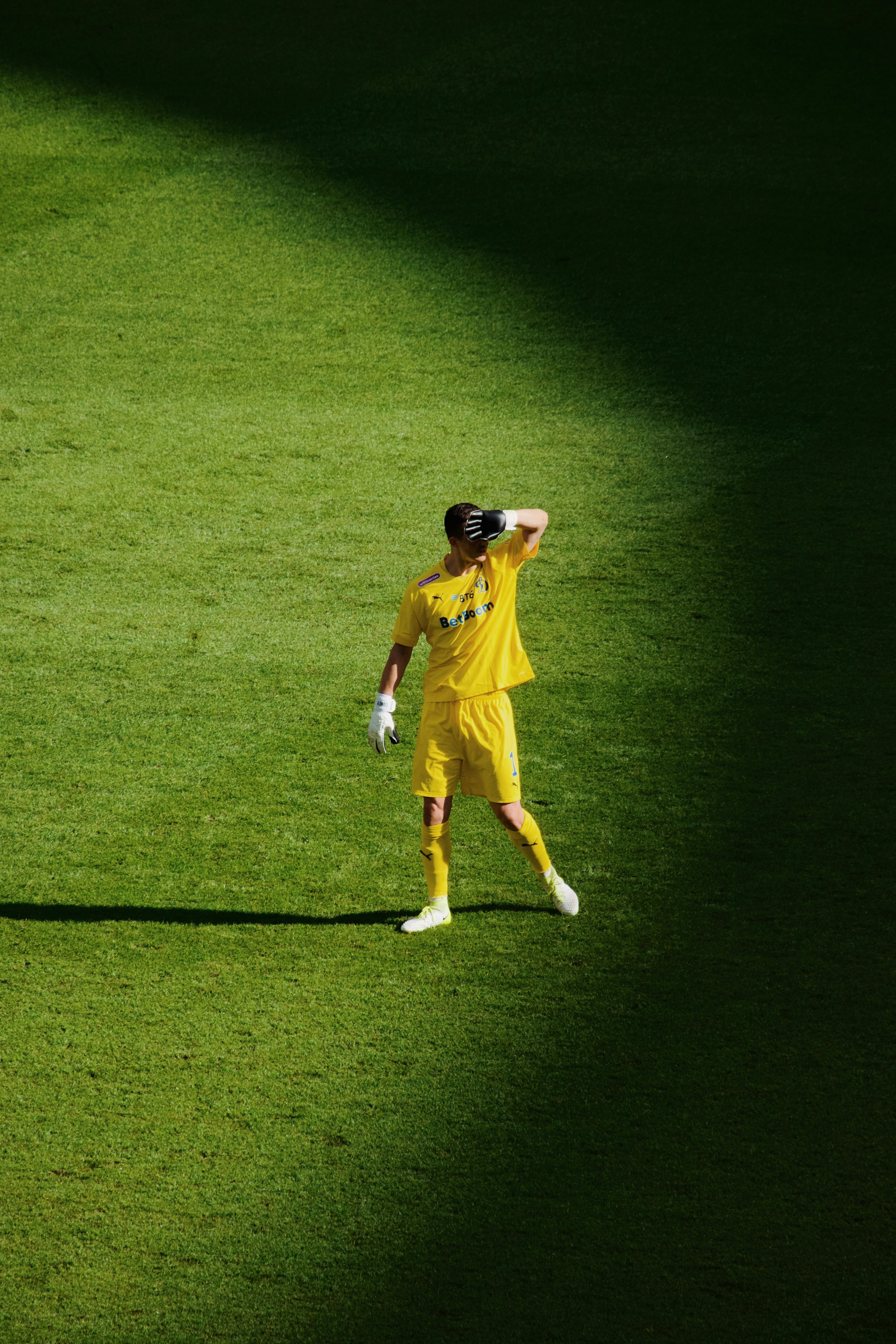 24/25. Татьян гертье