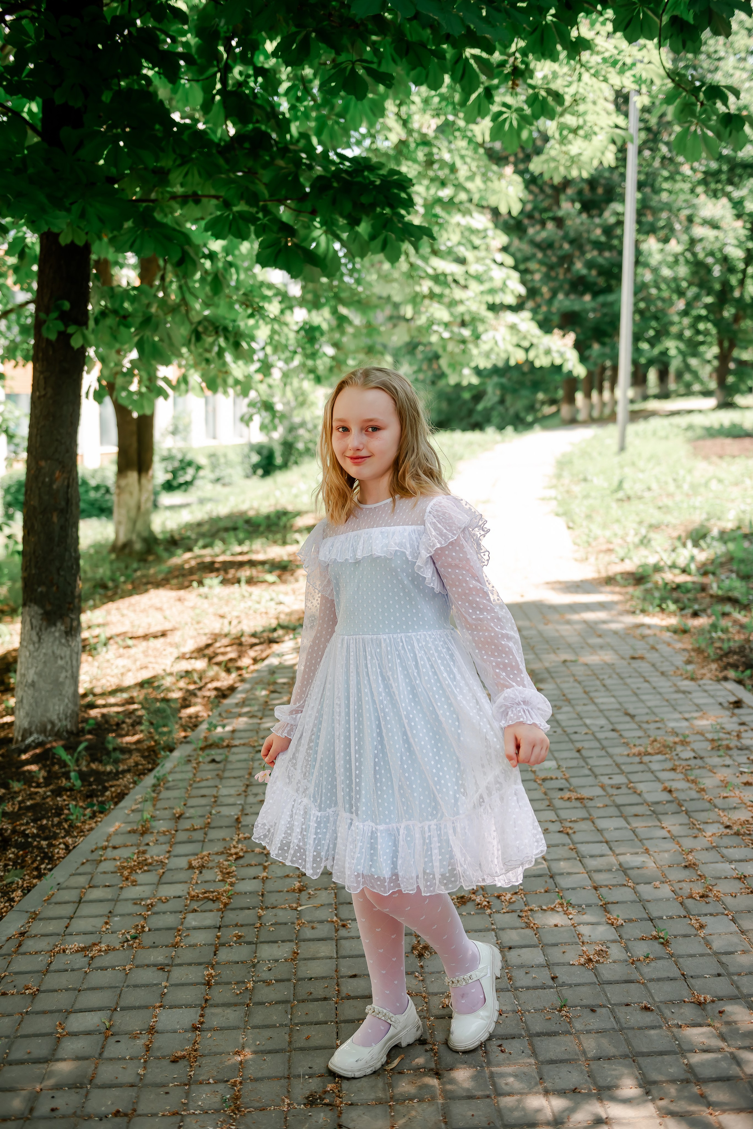 4 «Б» |г.Белгород |31 школа|2024-2025. ALBUMIA