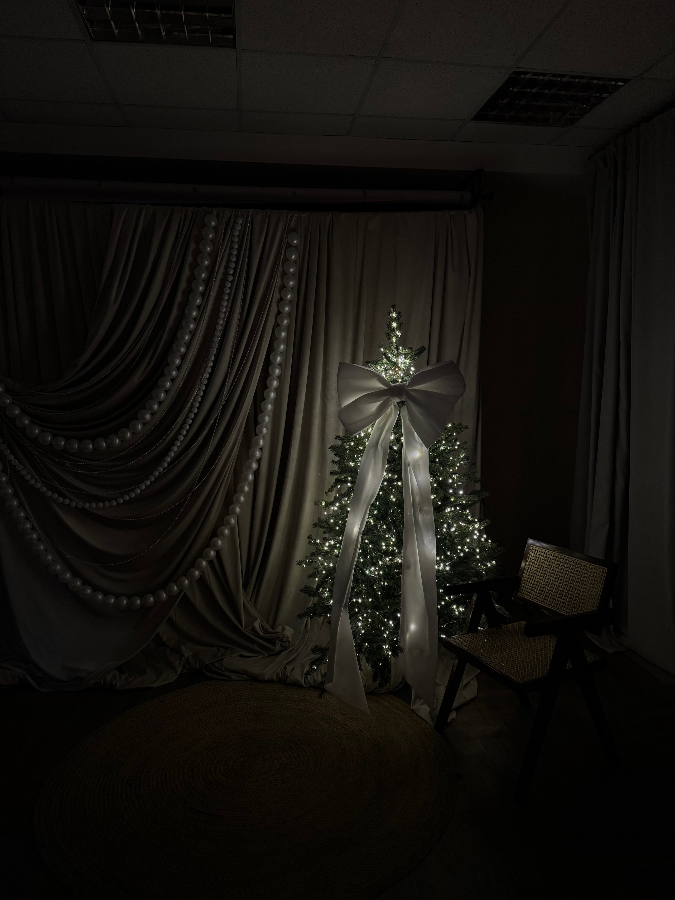 НГ 2025-2026. Фотограф НатаФото (Наталья Яковенко) Дмитров Москва Питер