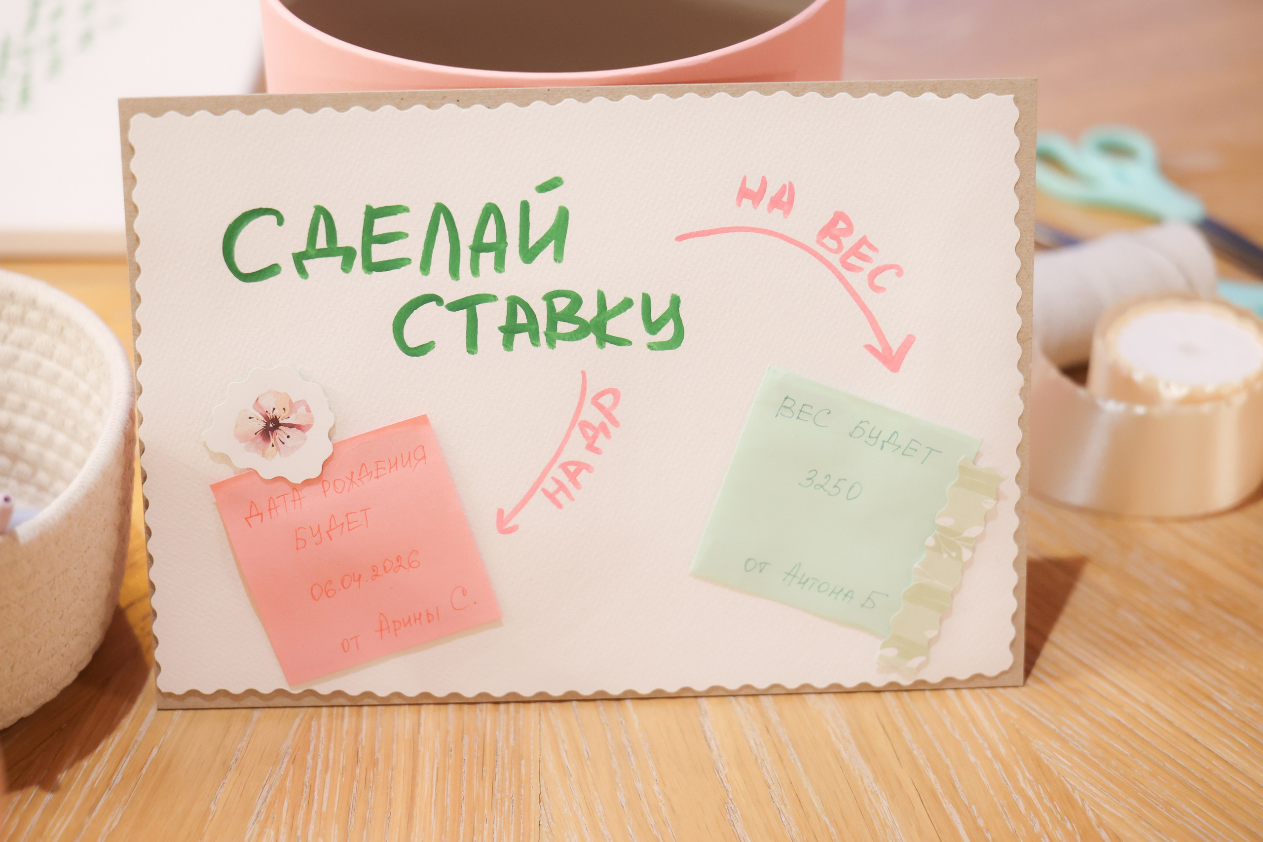 Серафимыч в пути. Фотограф НатаФото (Наталья Яковенко) Дмитров Москва Питер