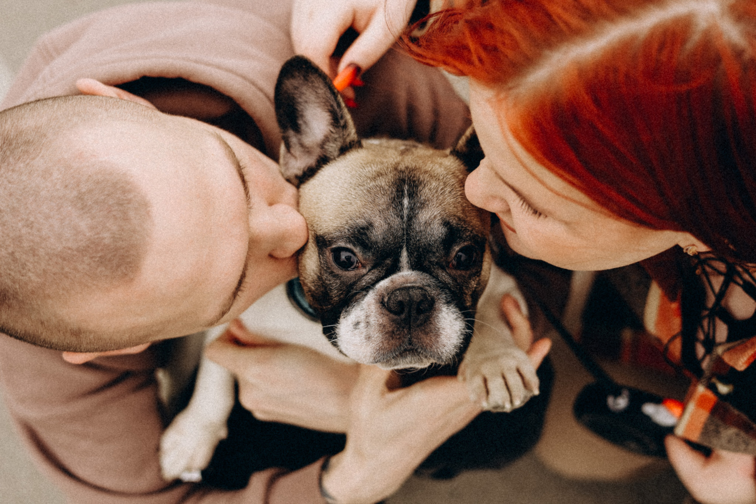 Семейная. Фотограф Оксана Пономарева