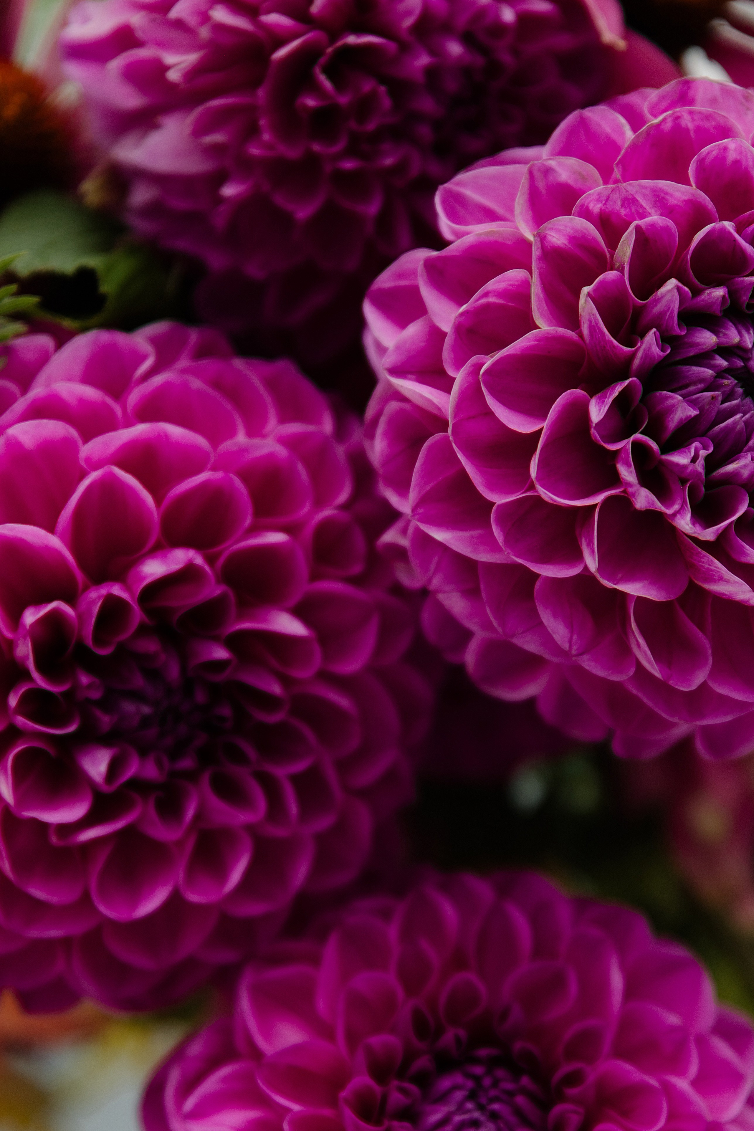 P&M. Пушистая Сова - Свадебный и портретный фотограф Воронеж, Москва, Питер