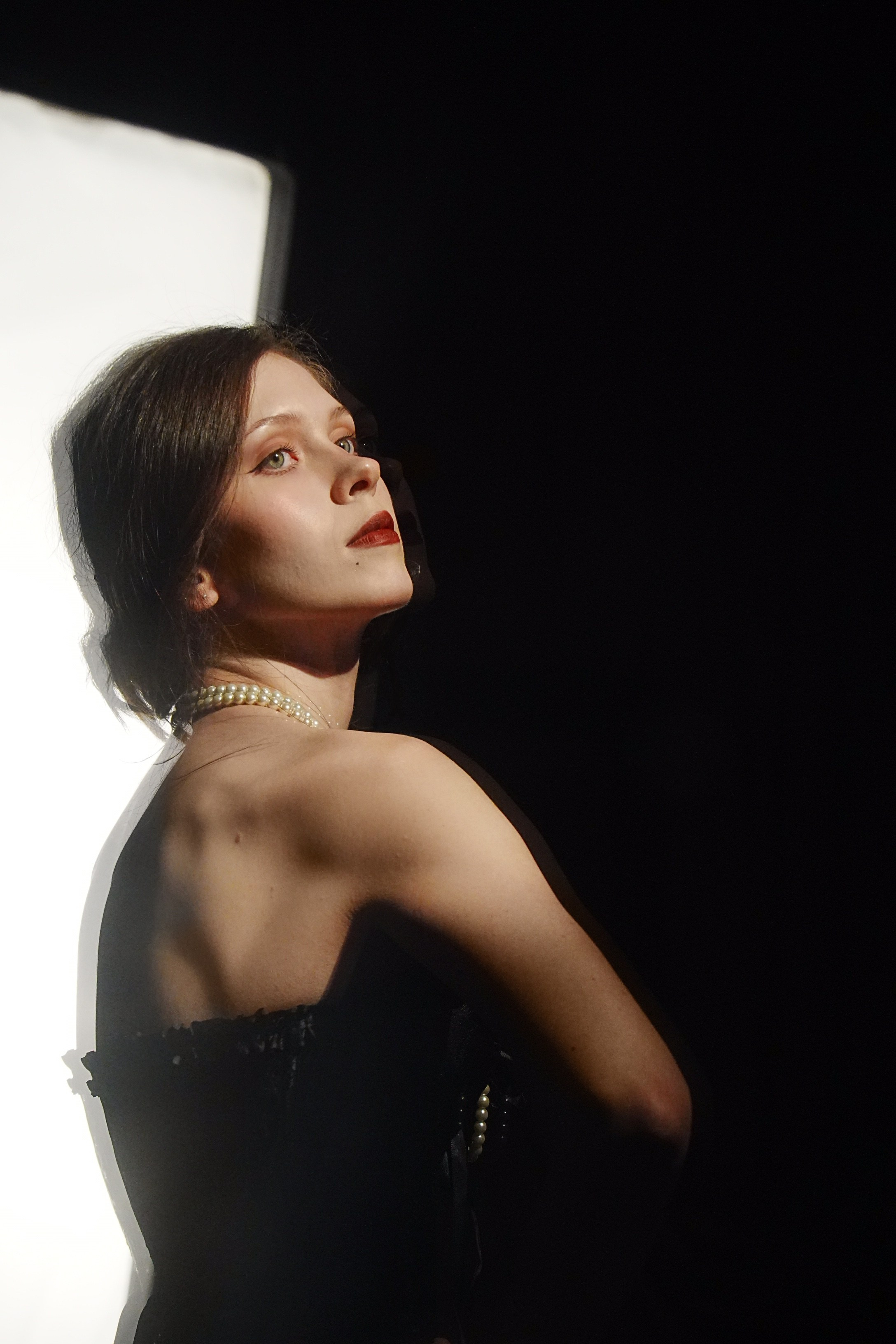 НАШЕ БУРЛЕСК ШОУ. VetkasART