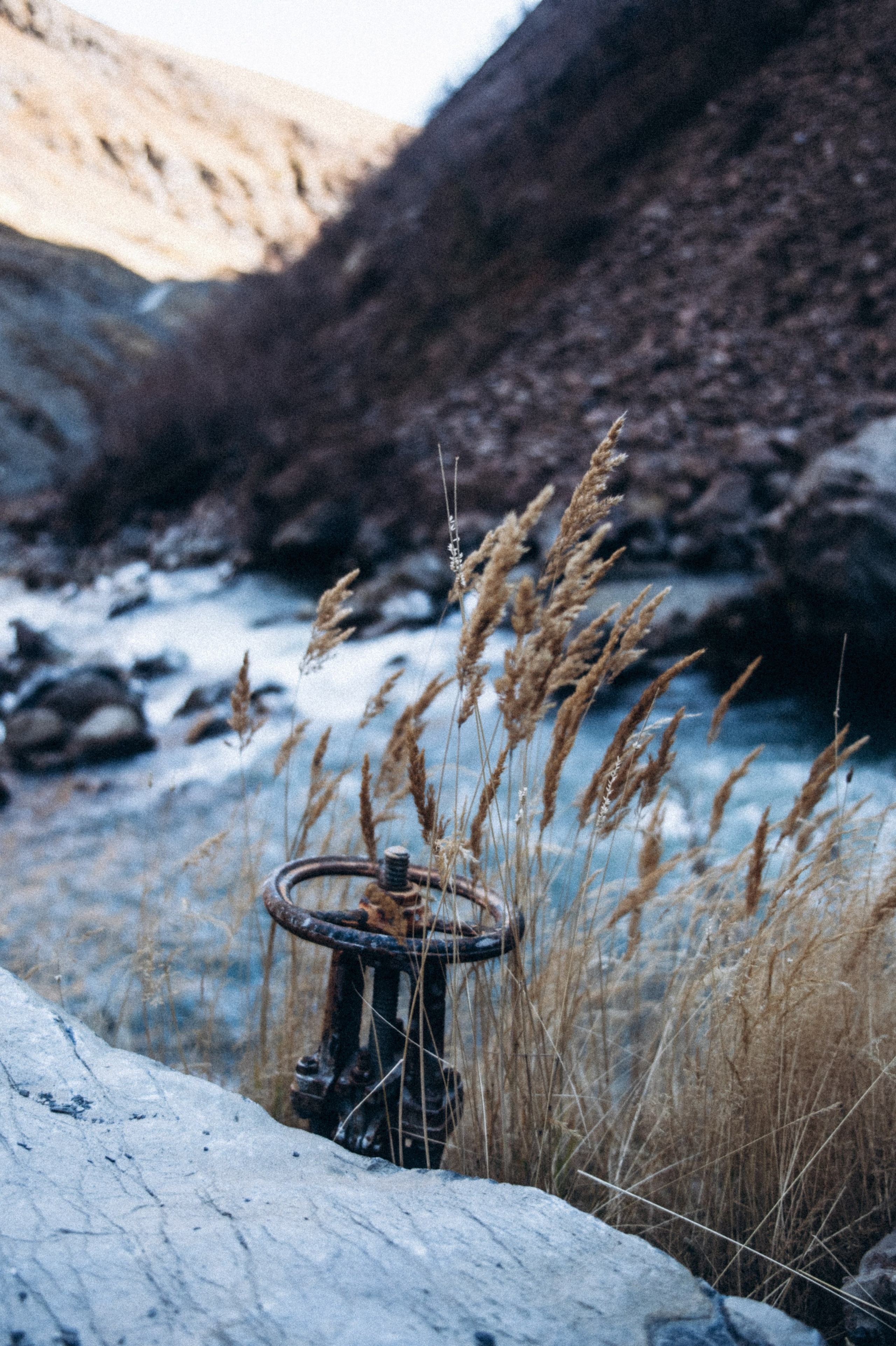 Долина Труссо, Грузия 🇬🇪 «PVD Club». Anita_photo