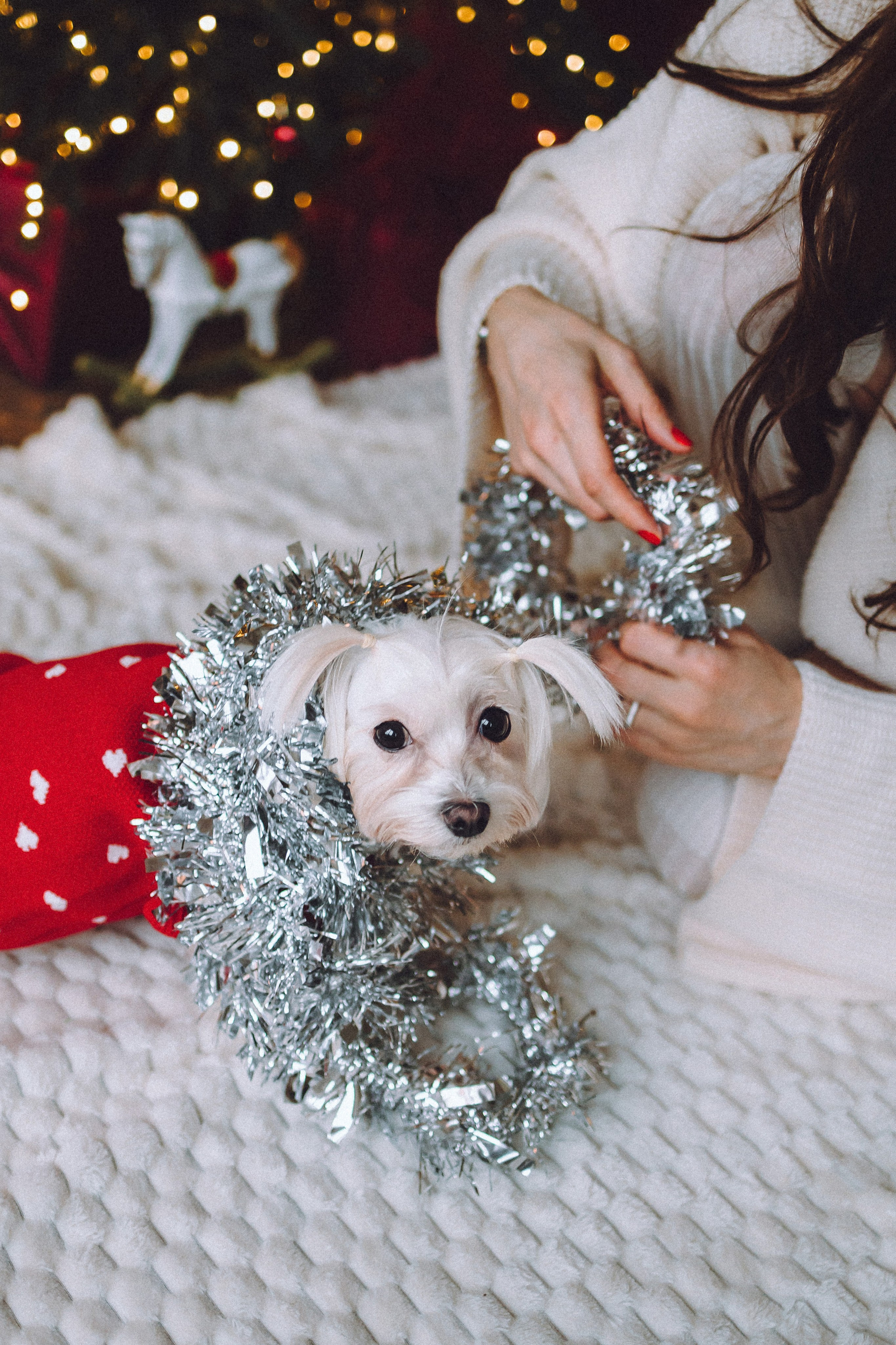 Констанция и Молли