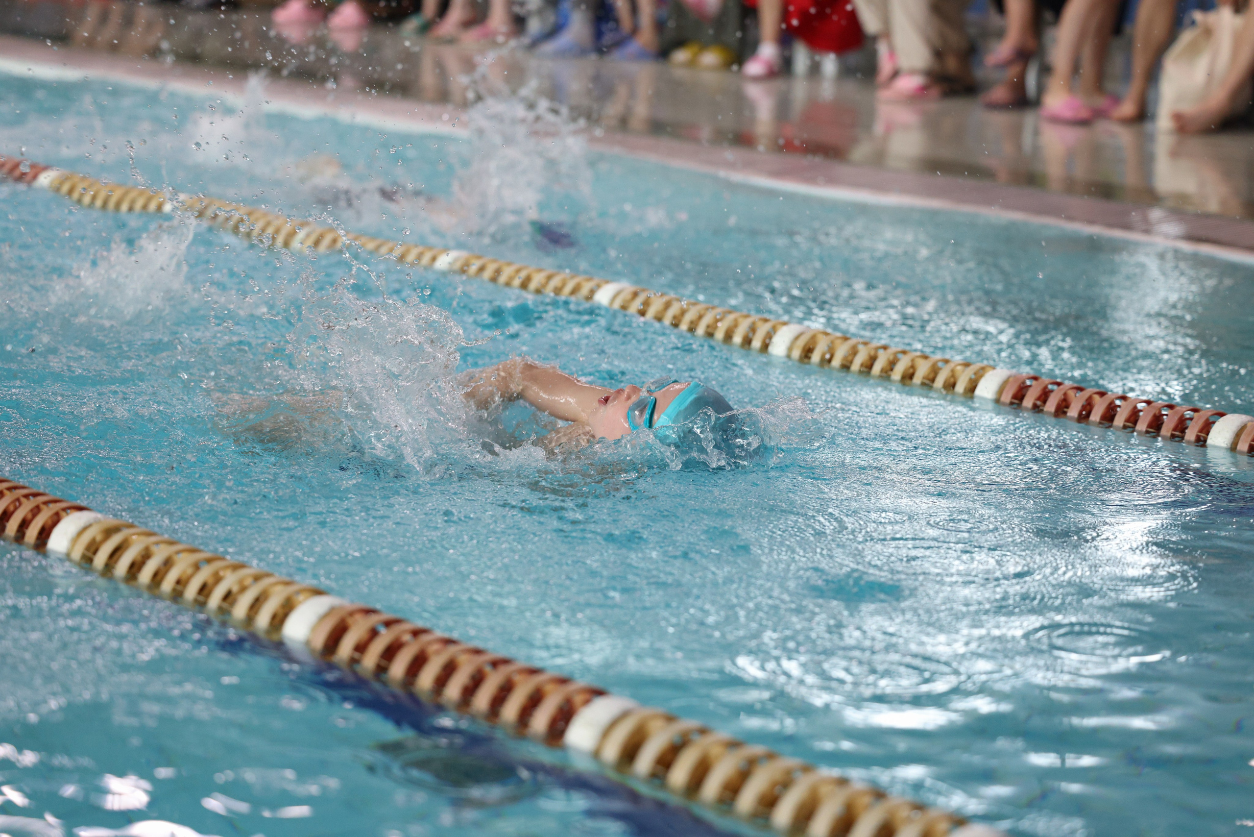 Веселый дельфин. Плавание. Дети 8-9 лет. Фотограф Александр Заломаев