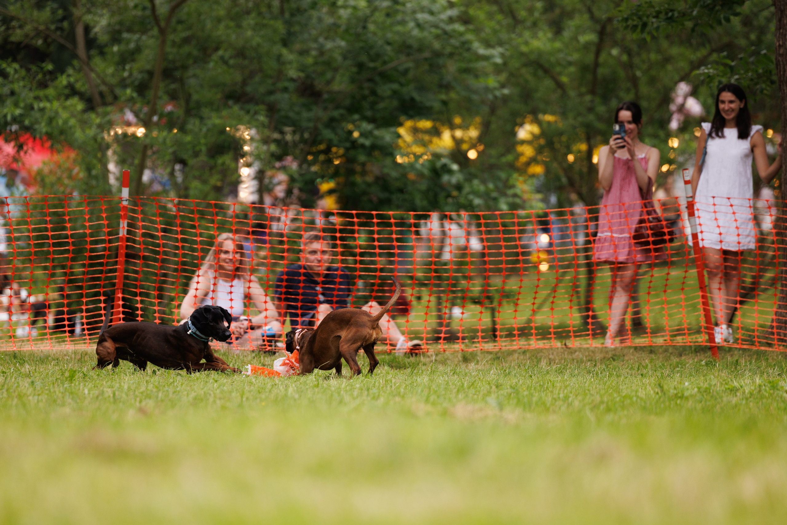 PetShopDays2026. Фотограф Александр Заломаев