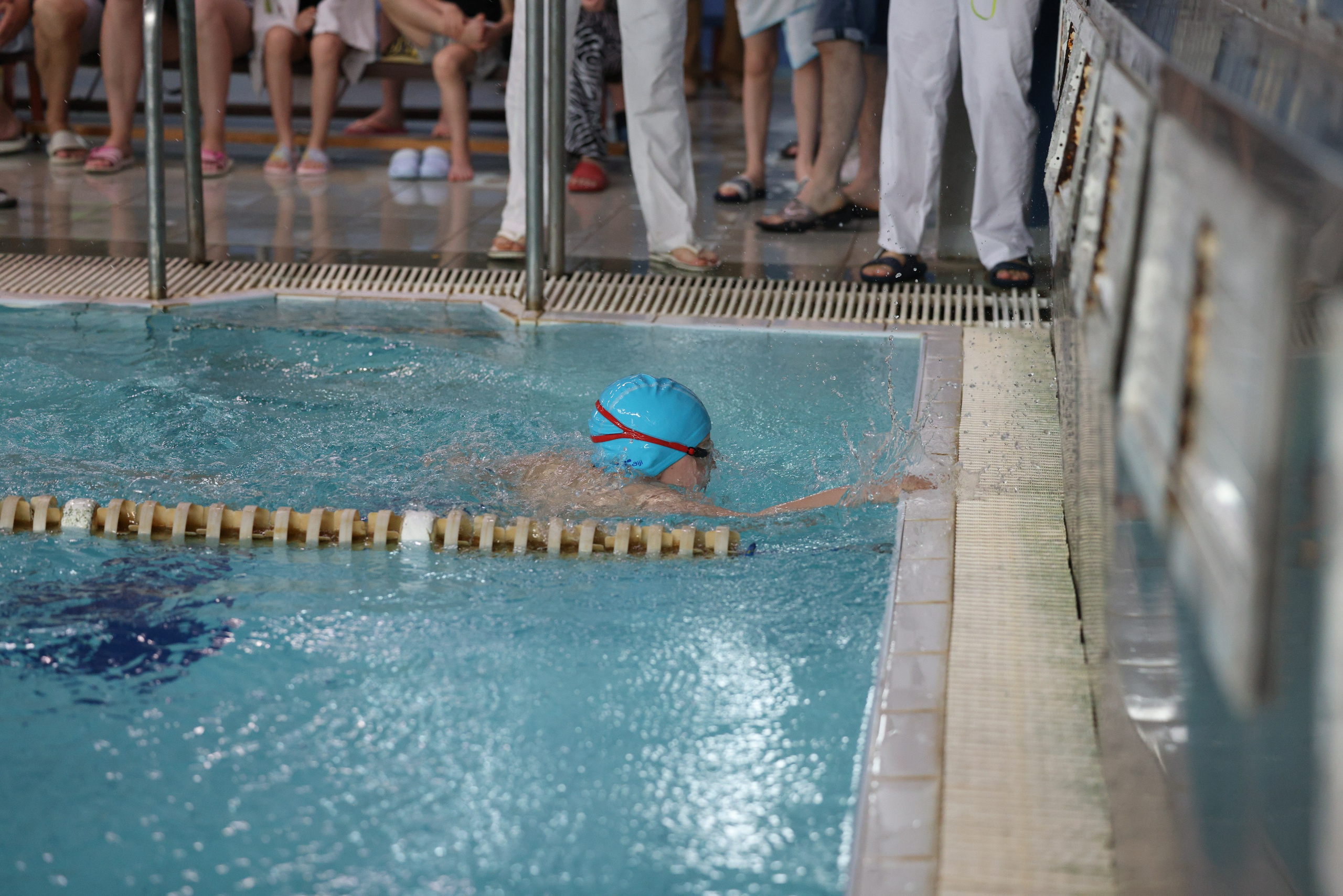 Веселый дельфин. Плавание. Дети 8-9 лет. Фотограф Александр Заломаев