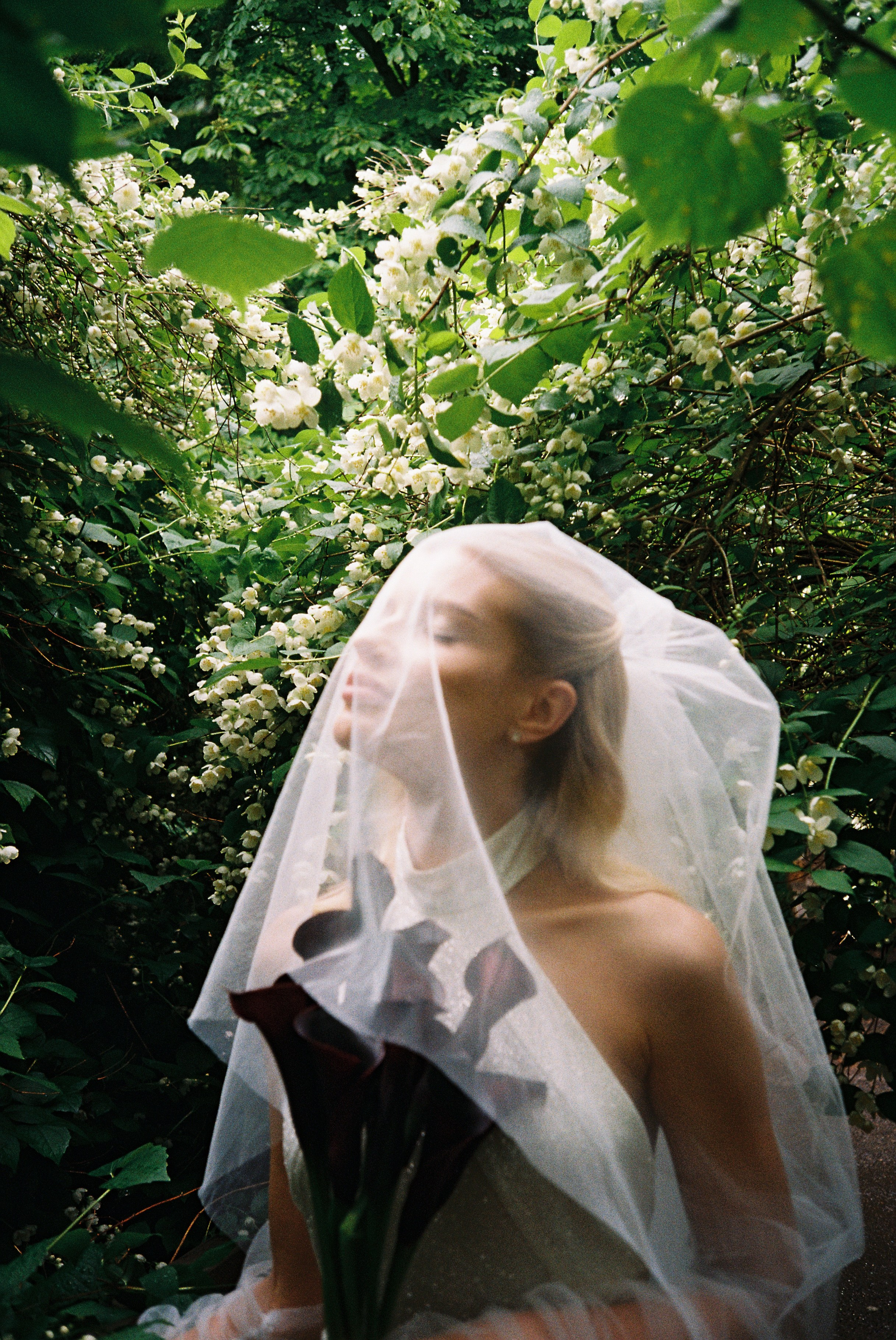 Плёнка. Свадебный фотограф в Санкт-Петербурге