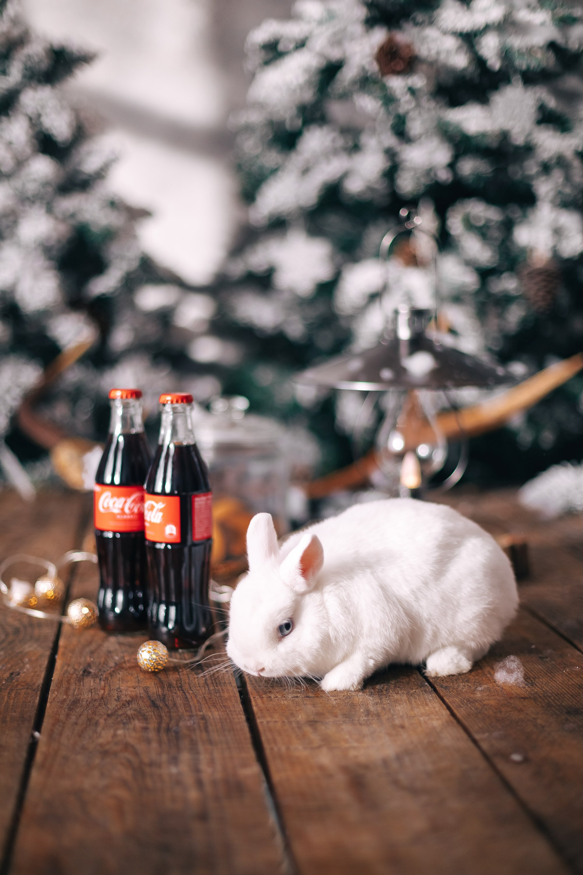 Лавстори. Фотограф Марина Верятинская | Краснодар