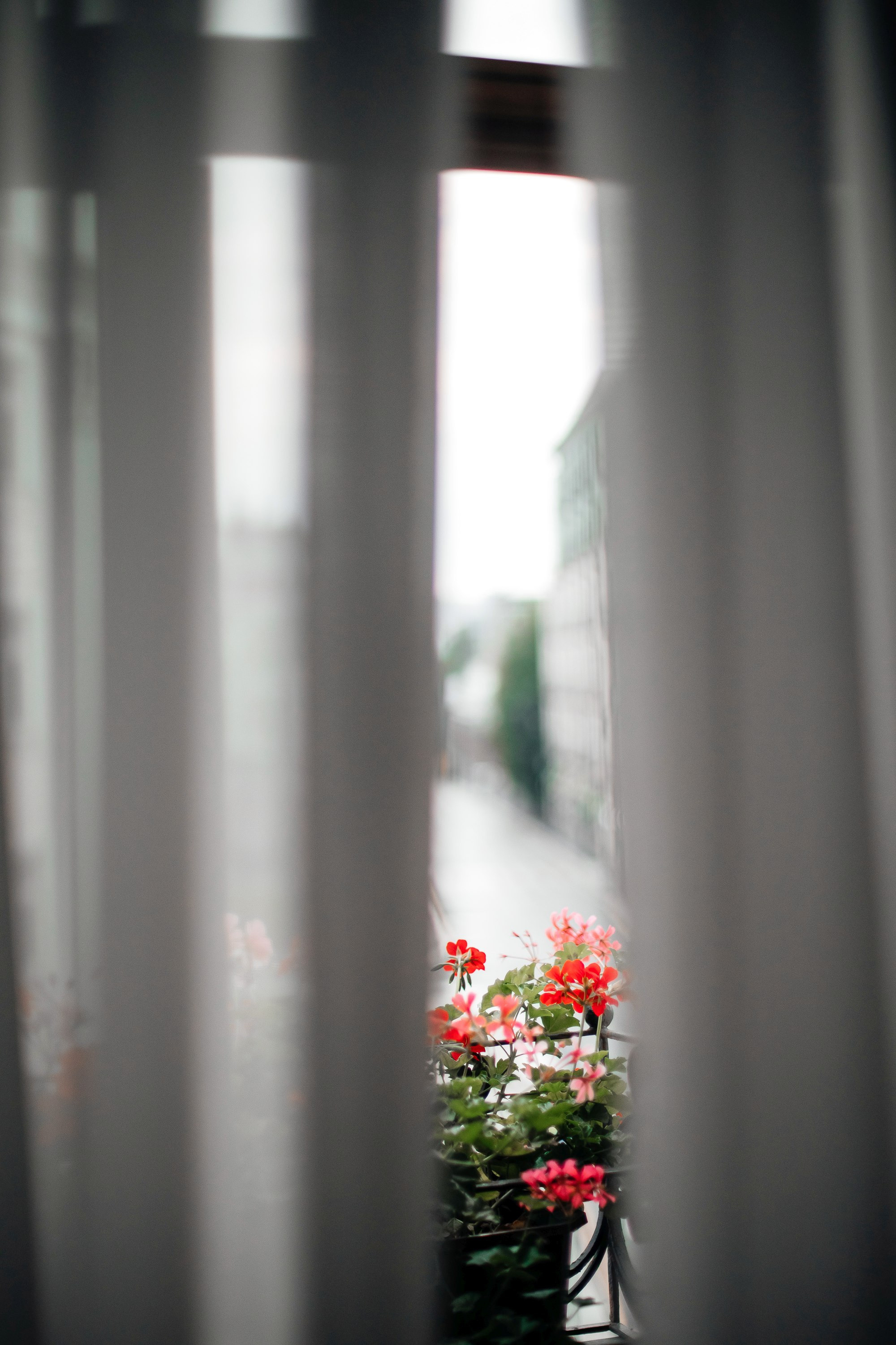 Андрей и Настя | Москва. Фотограф Марина Верятинская | Краснодар