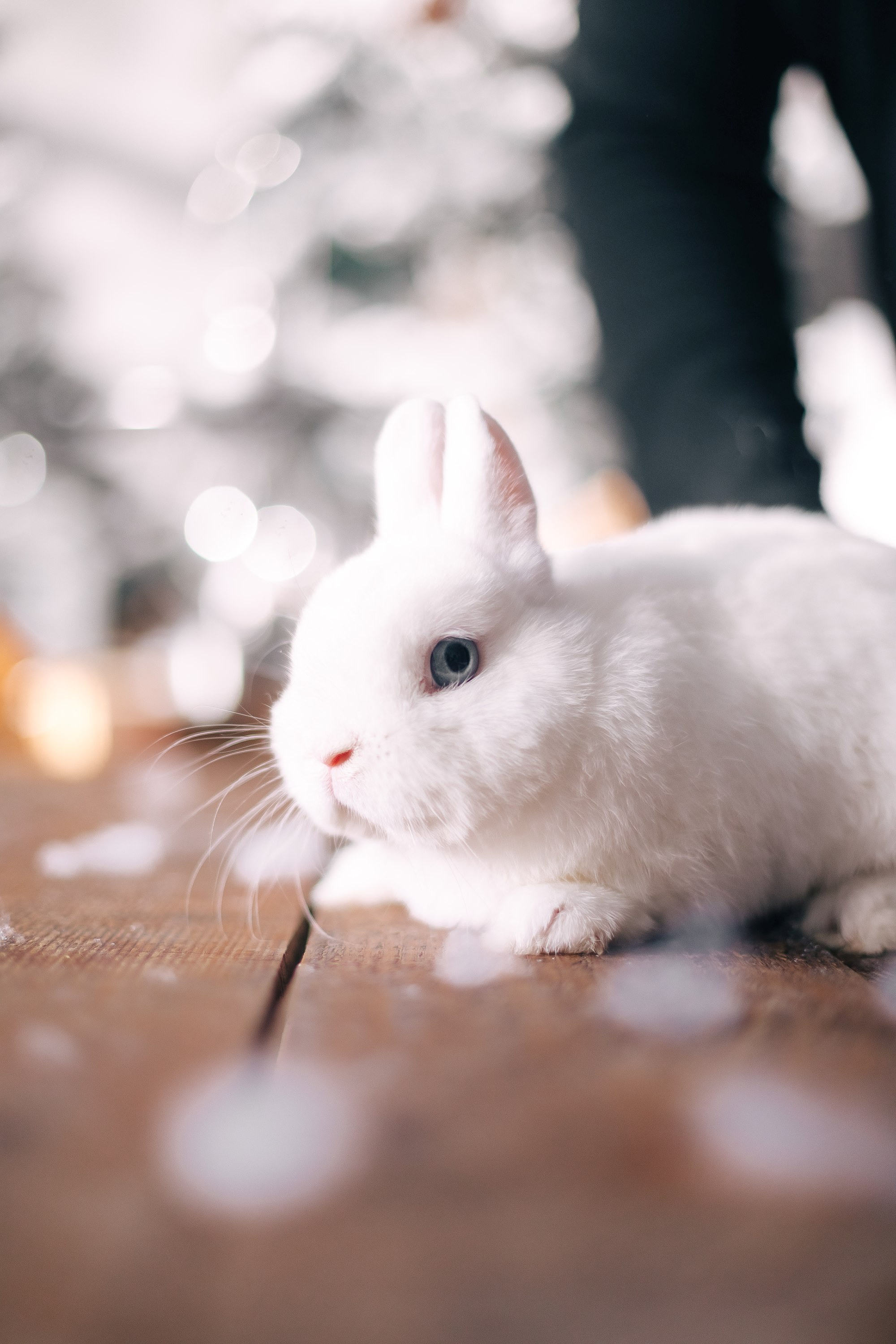 Лавстори. Фотограф Марина Верятинская | Краснодар