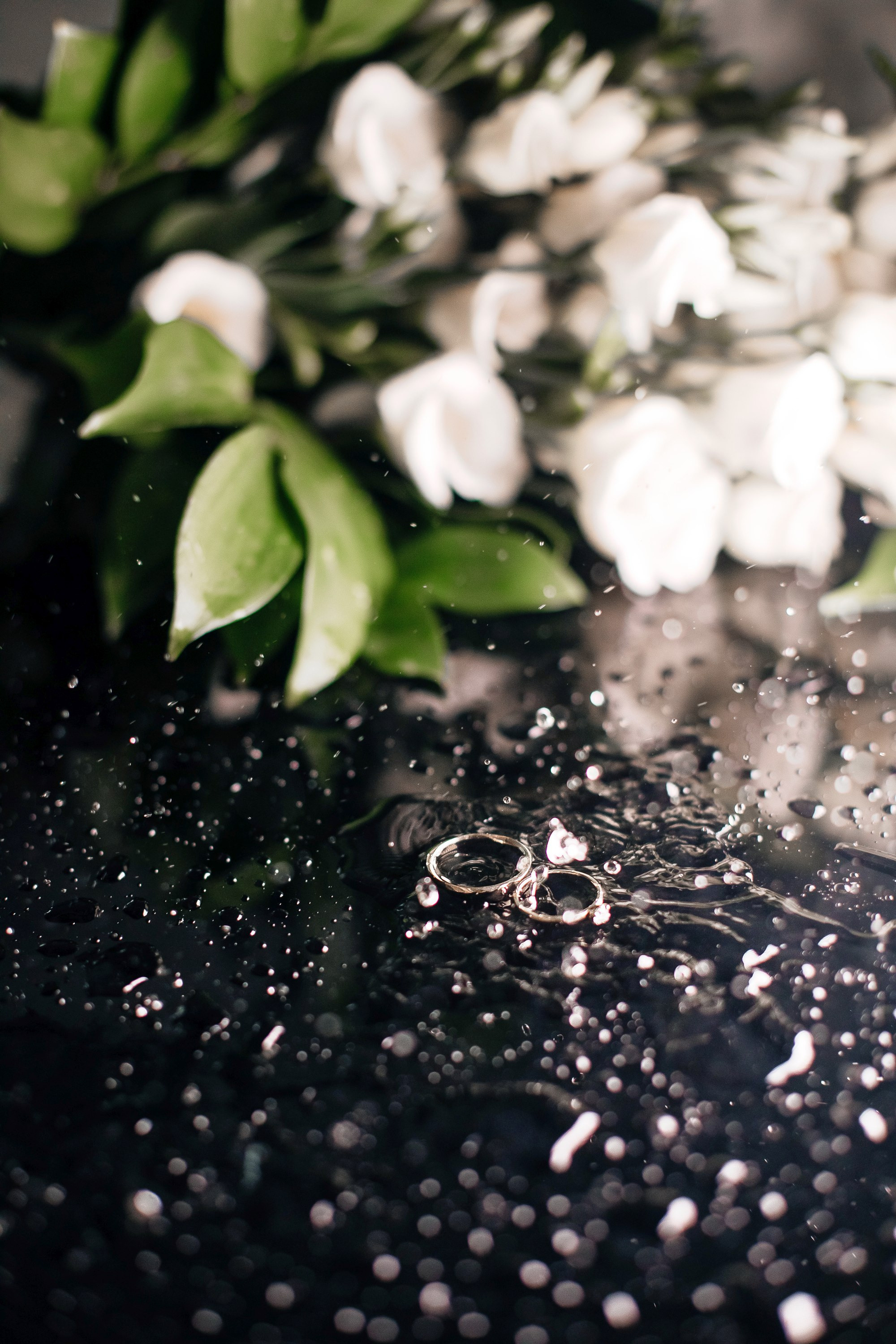 Андрей и Настя | Москва. Фотограф Марина Верятинская | Краснодар