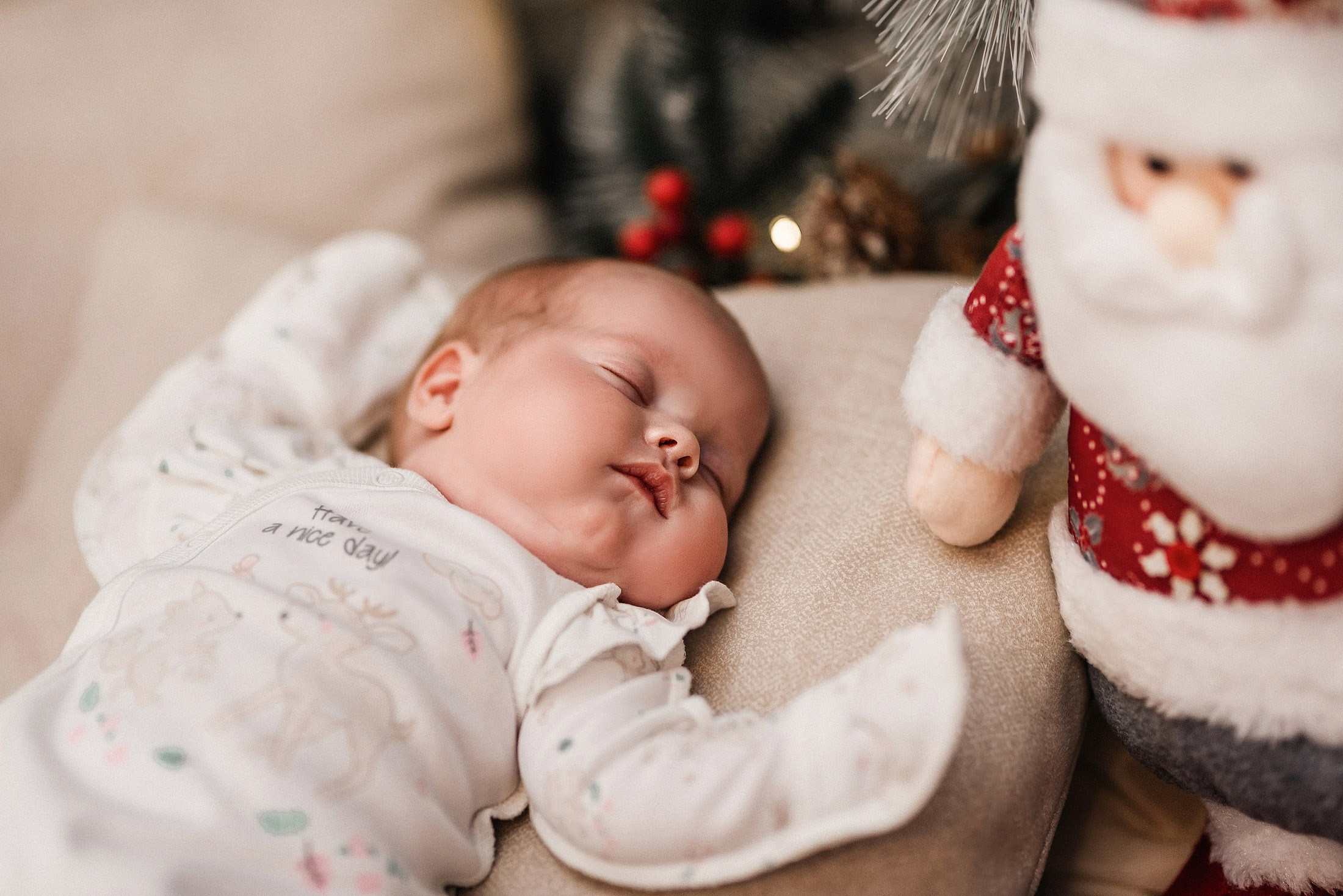 Семья Потаповых. Свадебный и семейный фотограф в Туле Ксения Сильвер