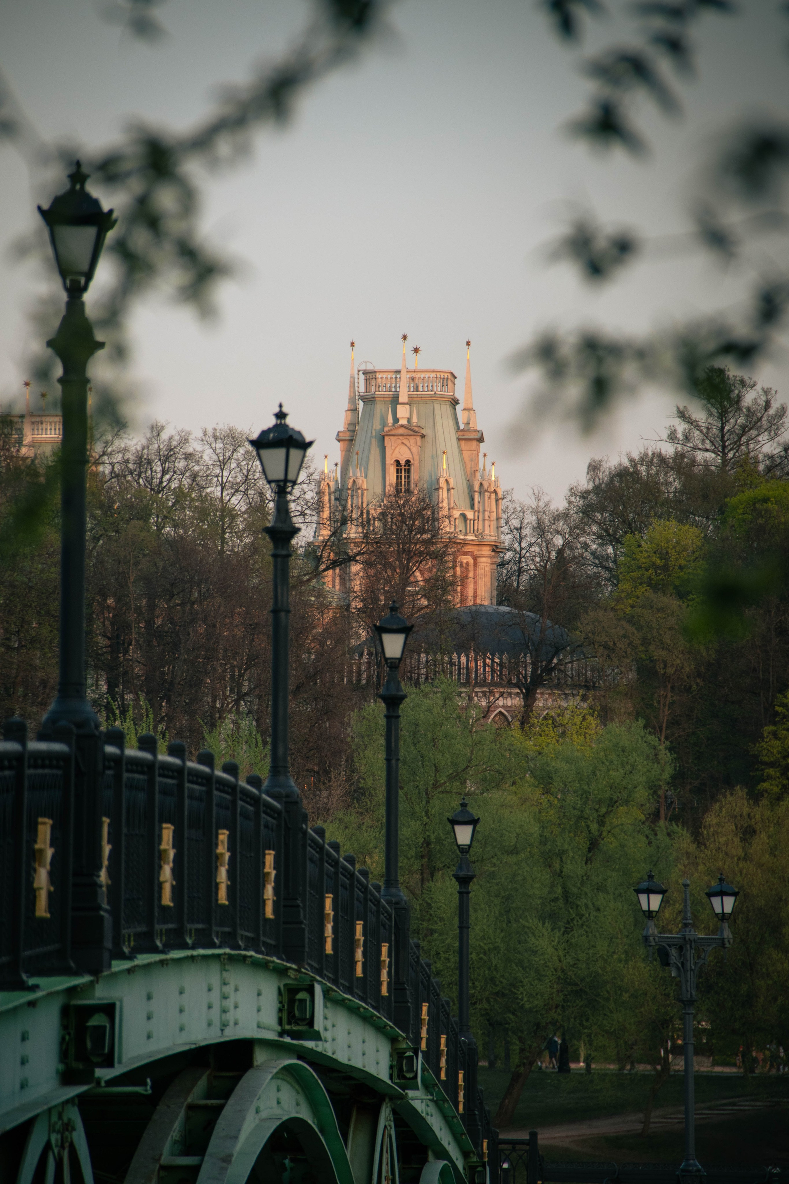 Nature. Фотограф/Видеограф