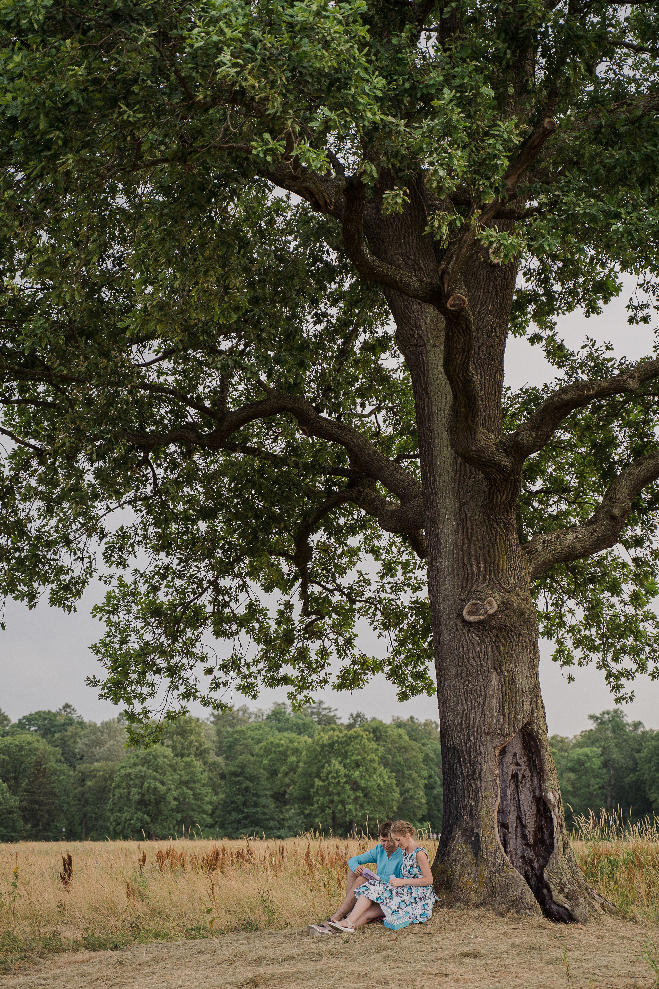 Прогулка в Александрии. Свадебный и семейный фотограф в Пушкине и Санкт-Петербурге Мария Филиппова