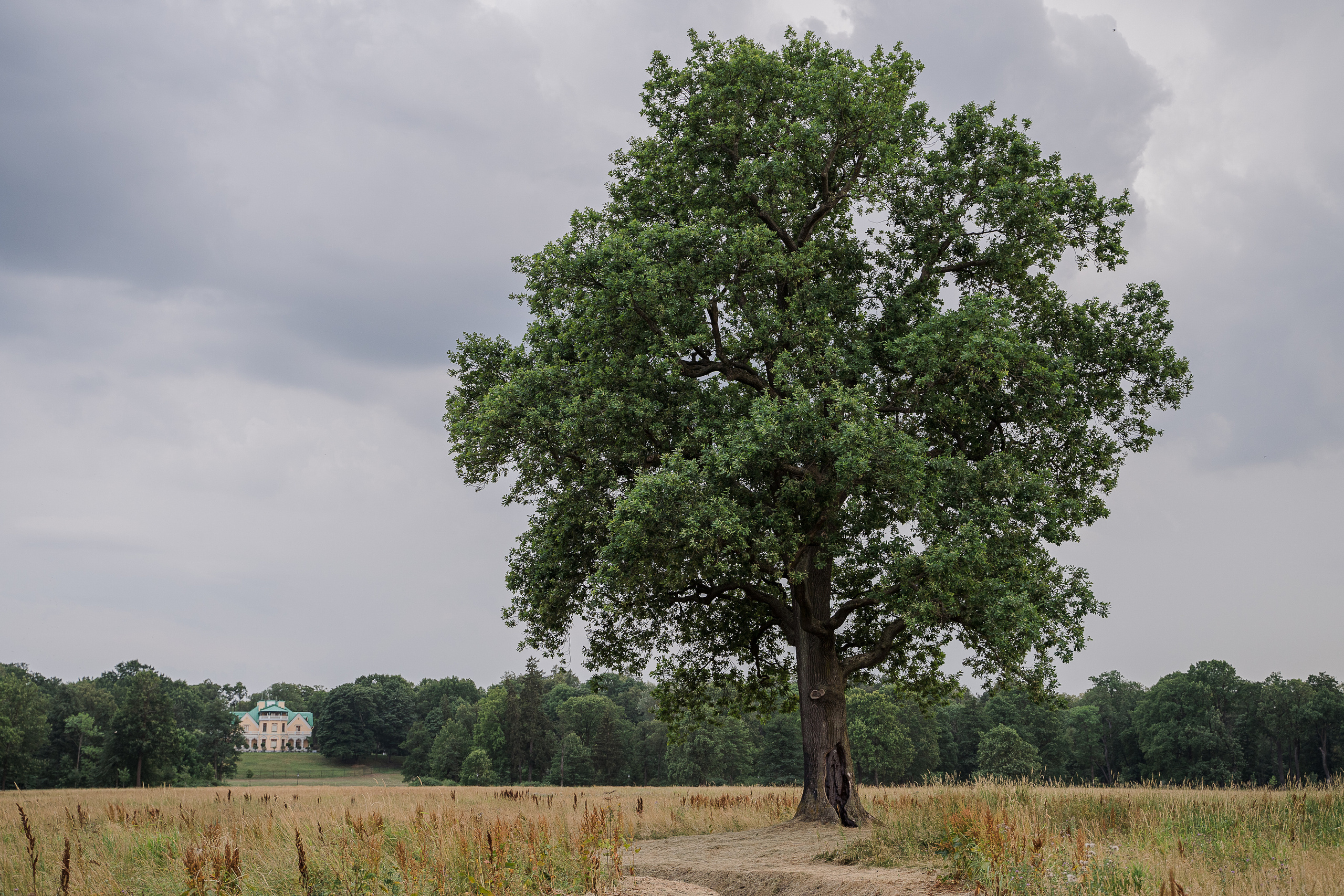 Прогулка в Александрии. Свадебный и семейный фотограф в Пушкине и Санкт-Петербурге Мария Филиппова