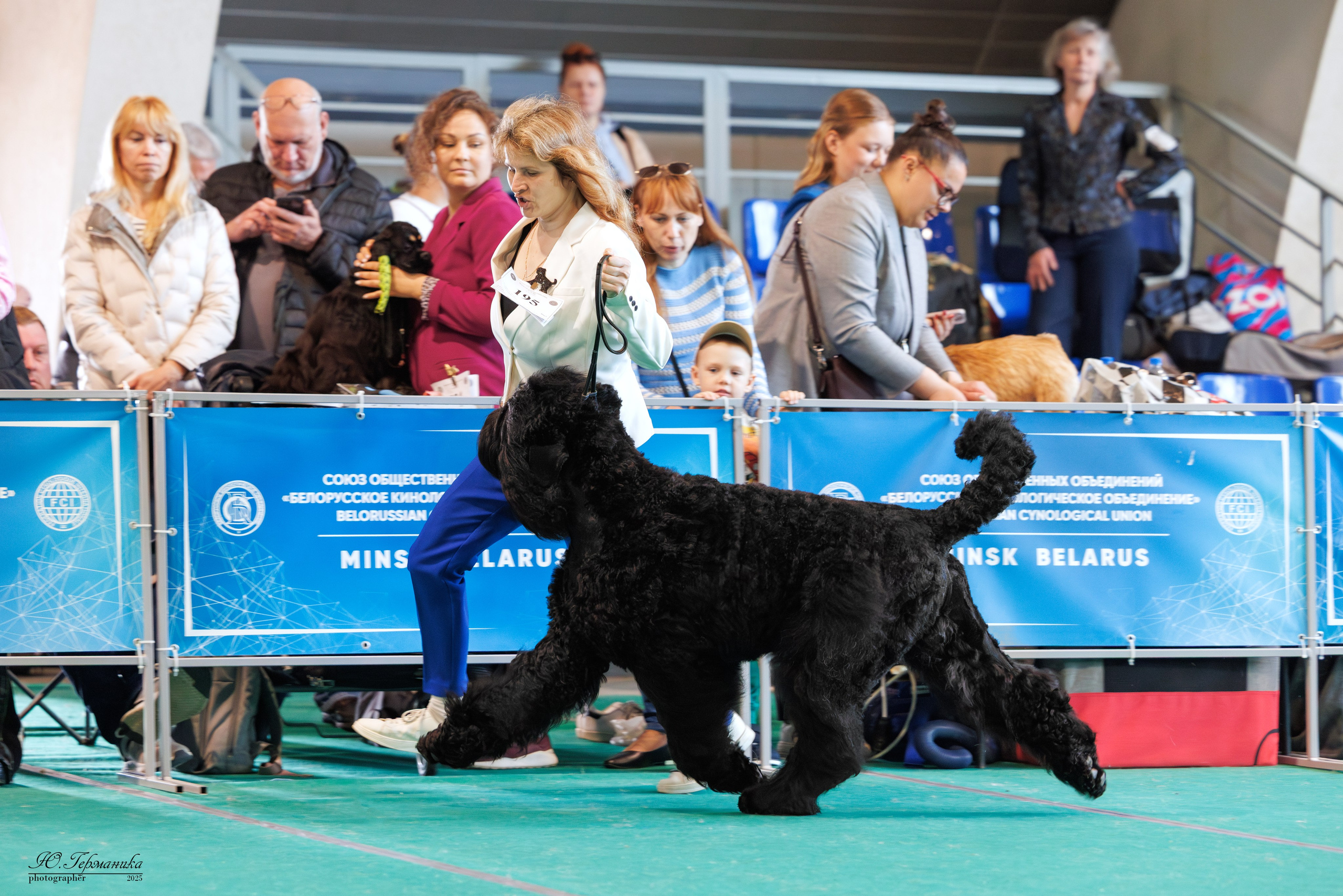Минск 31.05-1.06.2025. Фотограф-анималист Юлия Германика