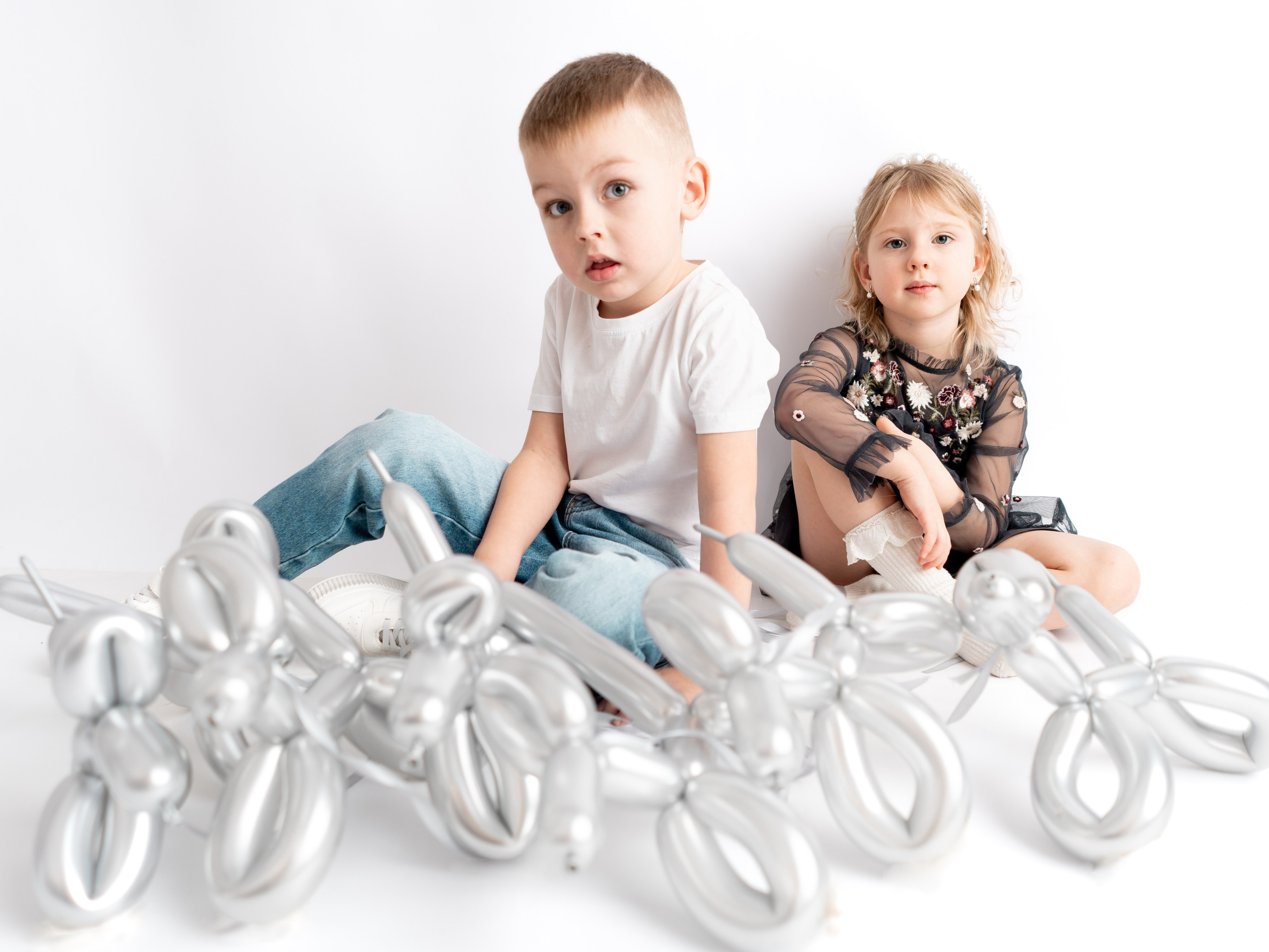 Foto project. Dogs. Фотограф и видеограф Тверь