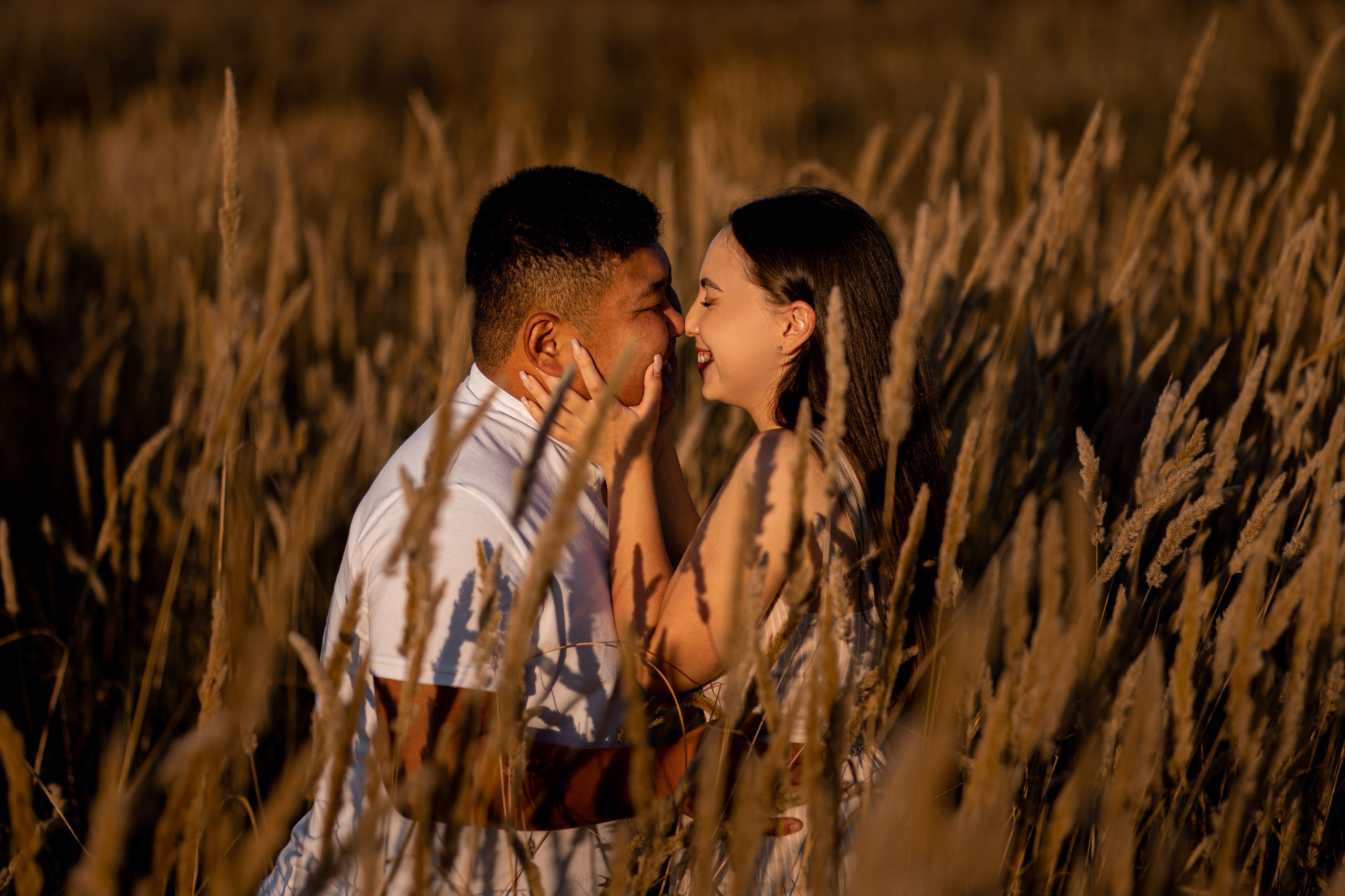 Влюблённые целуются в заросшем поле среди сена на закате лавстори во Владивостоке