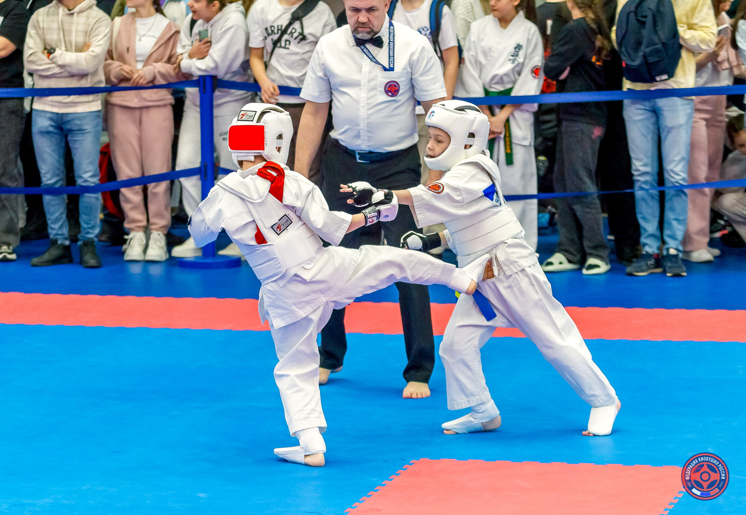 Международный турнир по киокушин «Открытый кубок Seiken». Репортажная съемка в Москве и области. Анималистика