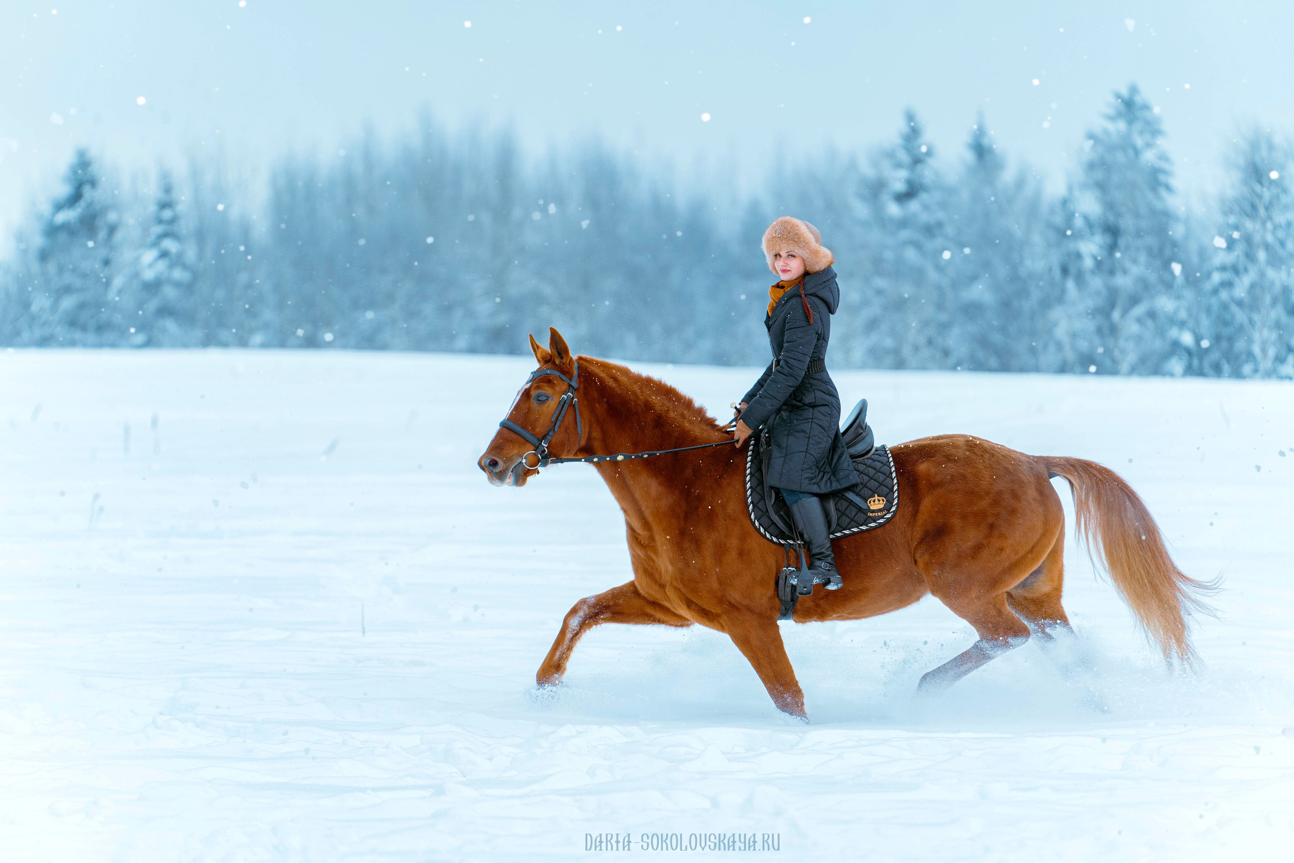 Зимнее поле. Фотограф Дарья Соколовская