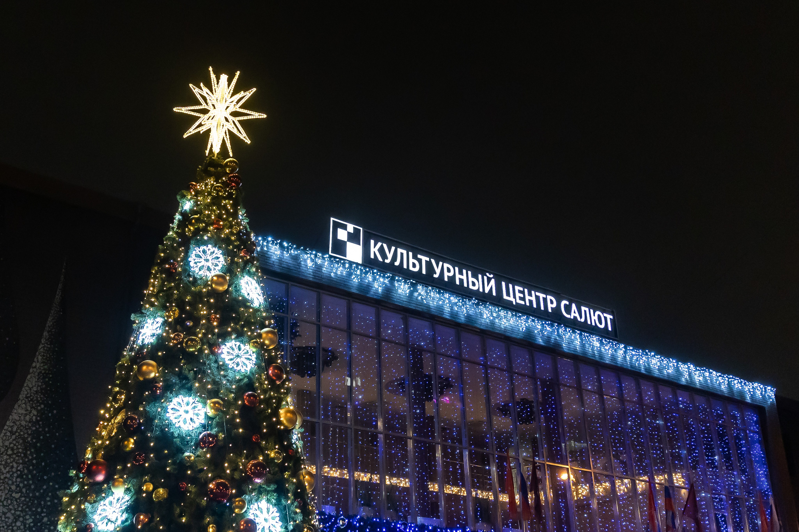 BellaMamma 10 лет. Фотограф Владимир Охрименко
