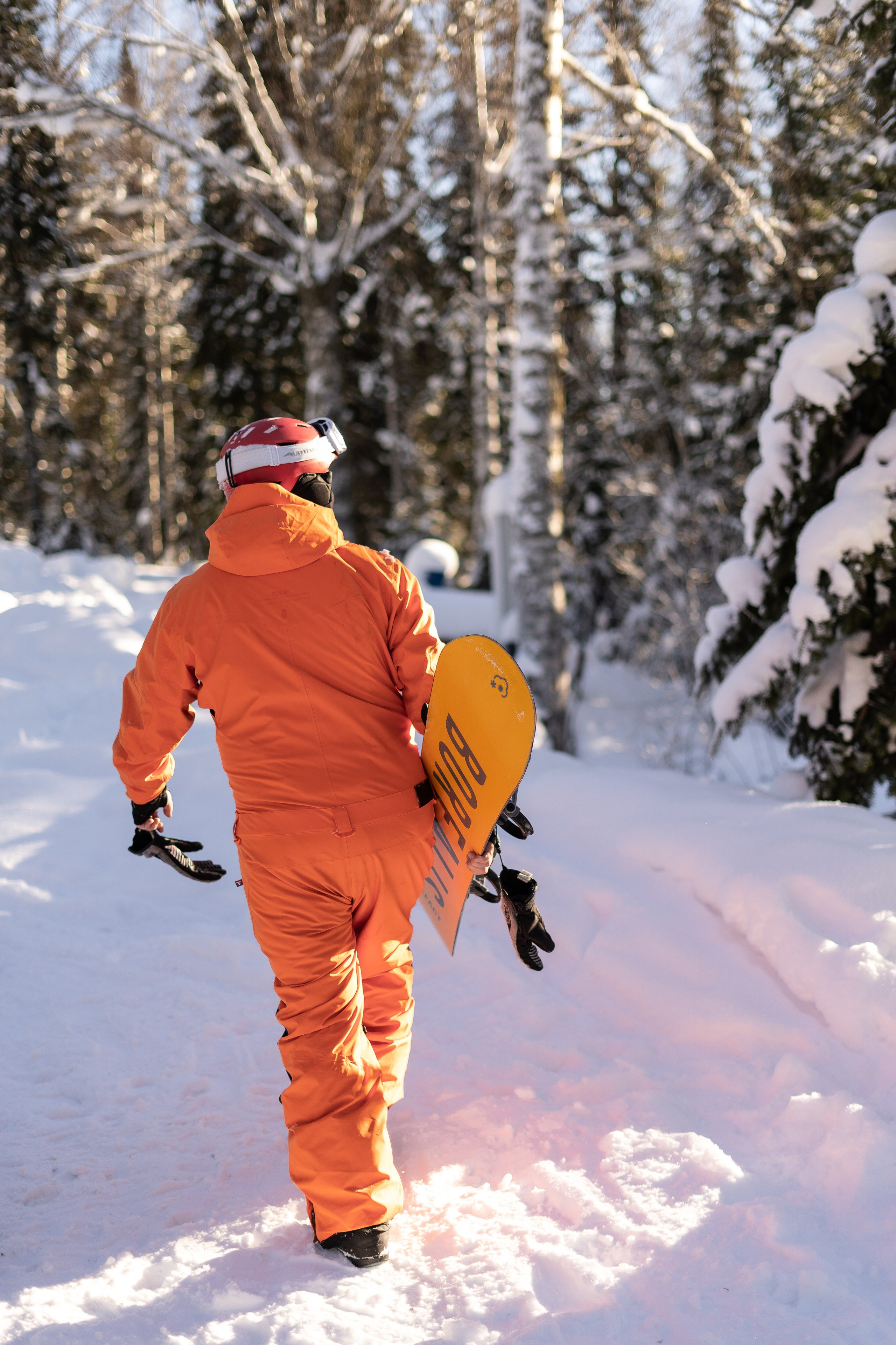 Джой. Анастасия Паршукова — фотограф Шерегеш Новосибирск