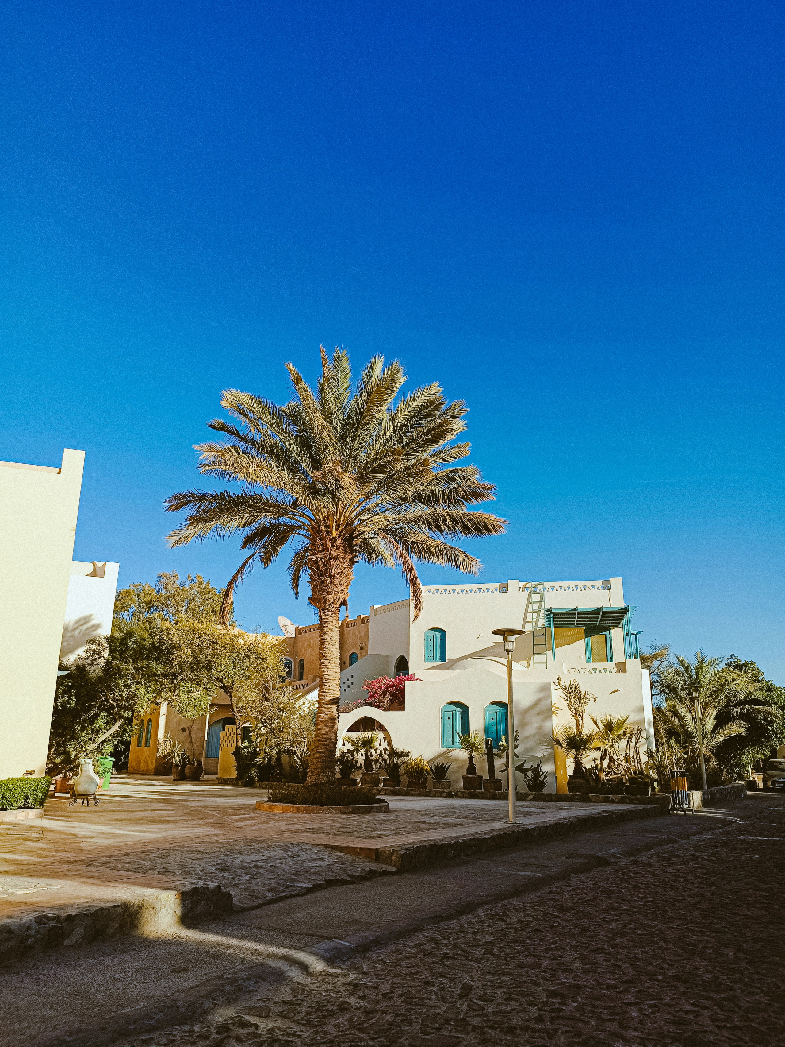 Мобильная. Jorgis — фотограф в Хургаде / обучение фотографии