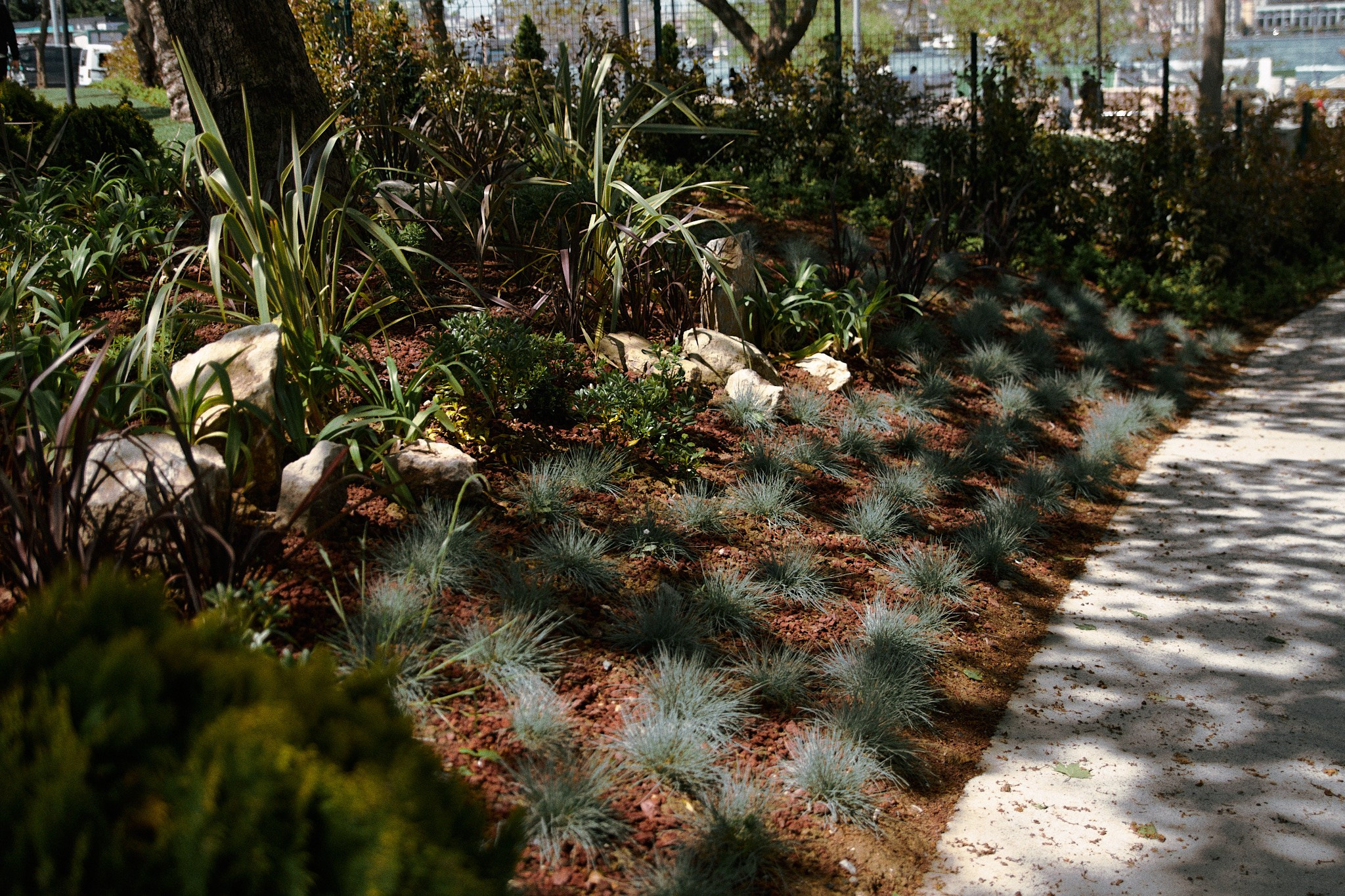 Улица горизонтальная. Jorgis — фотограф в Хургаде / обучение фотографии