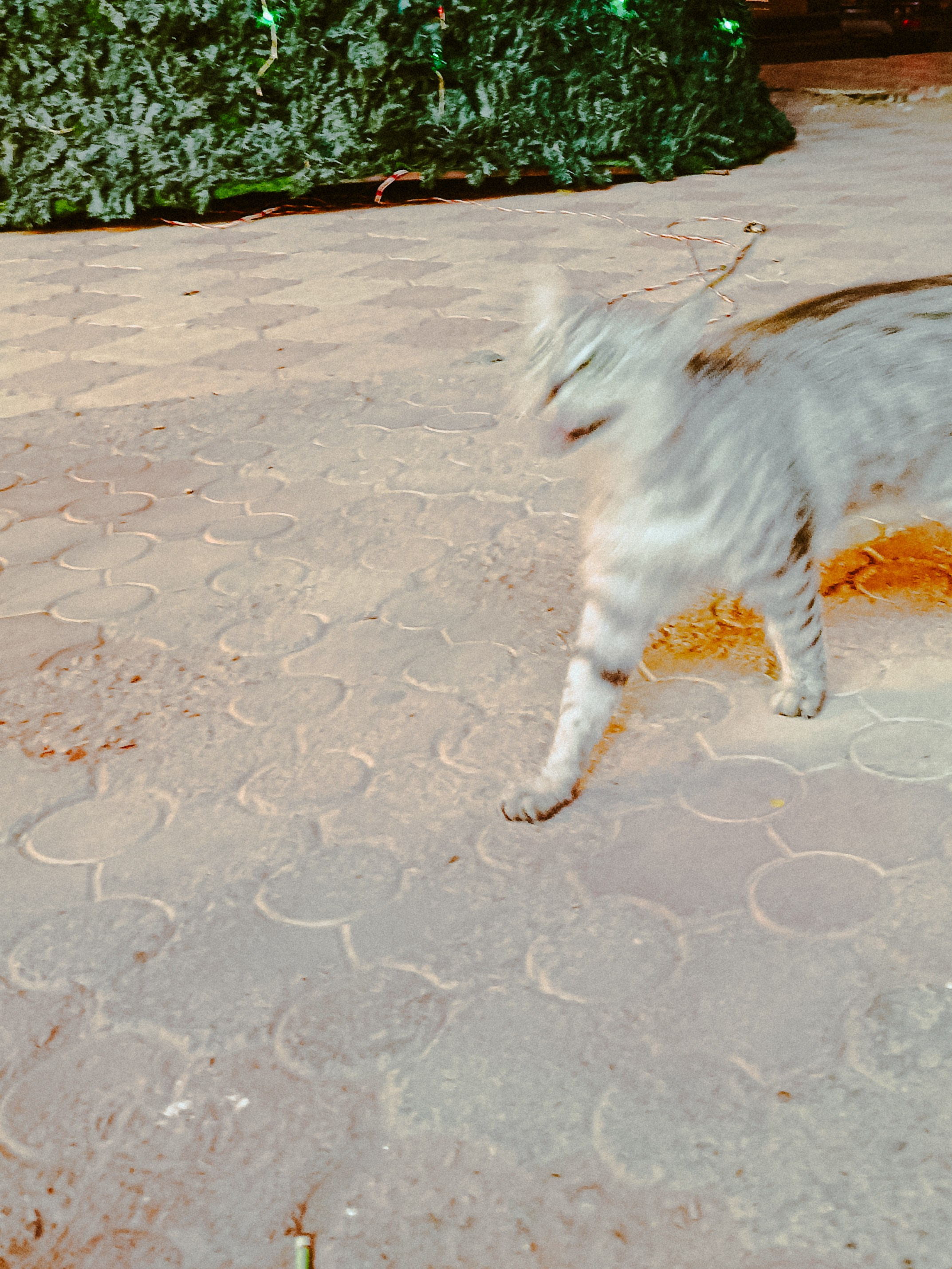 Мобильная. Jorgis — фотограф в Хургаде / обучение фотографии