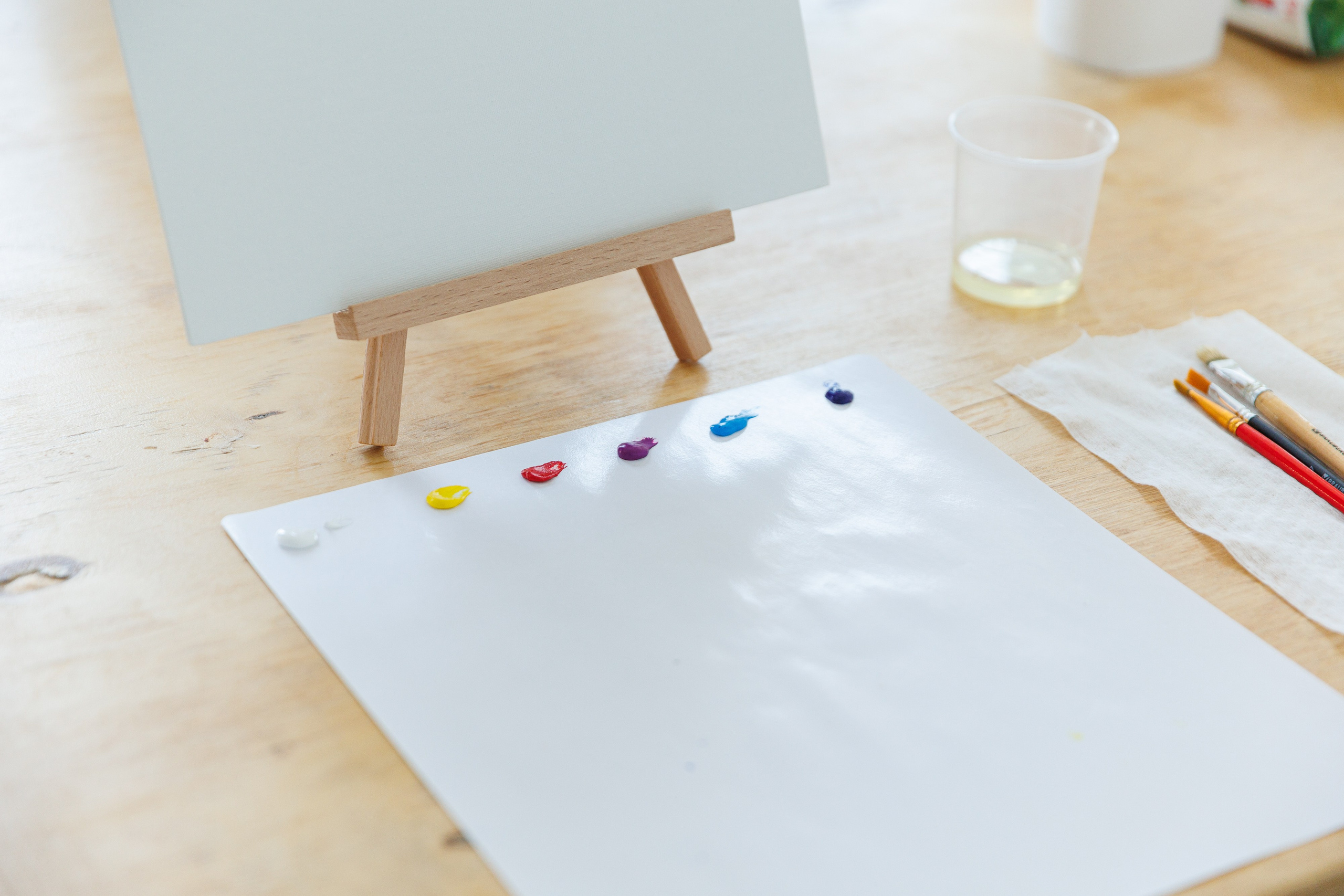 Девичник. МК по живописи. Фотограф Шейдаев Эмин г. Волгоград