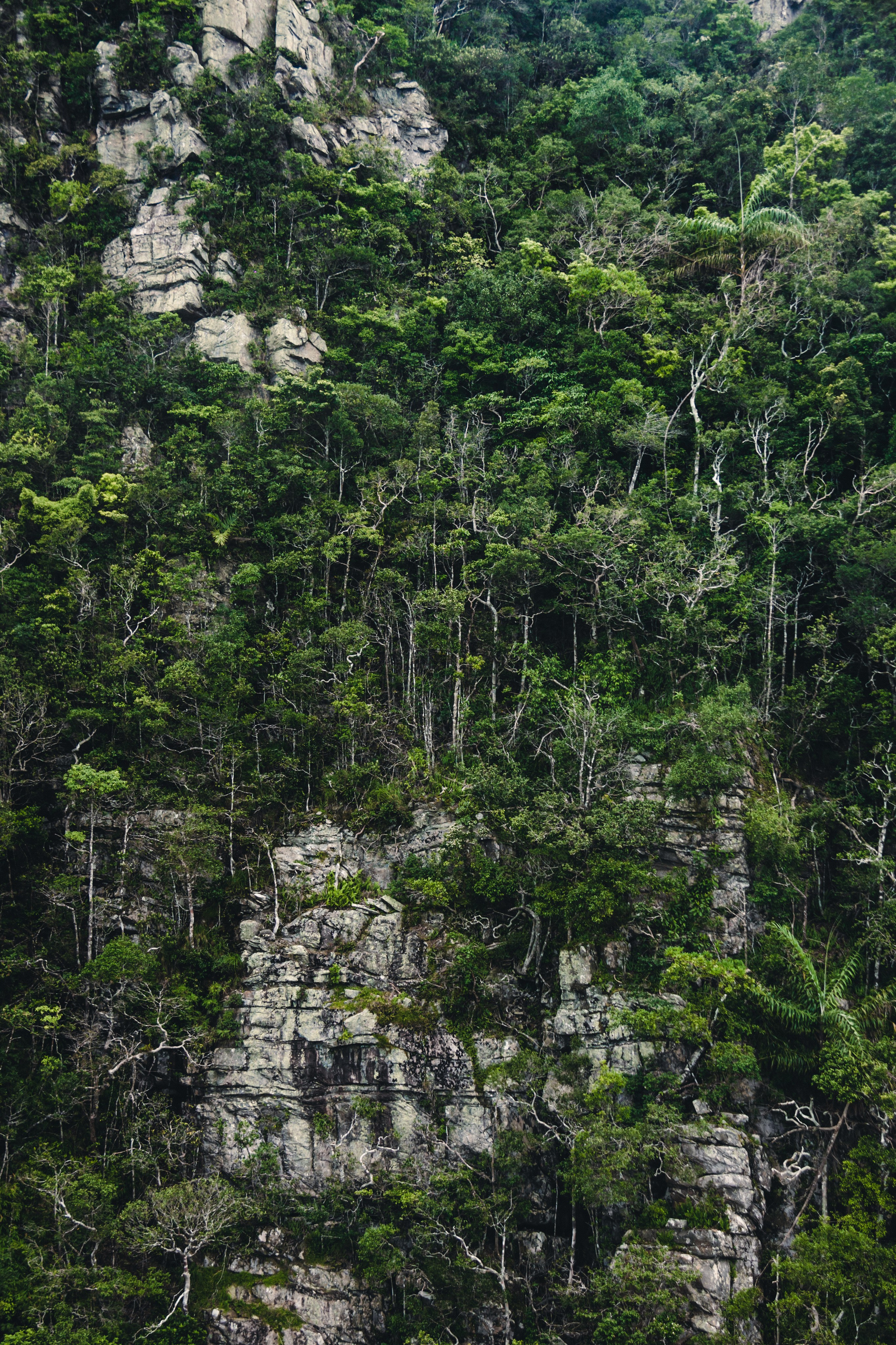 Malaysia. ДарияГалямова — фотограф: открытый, творческий, коммерческий