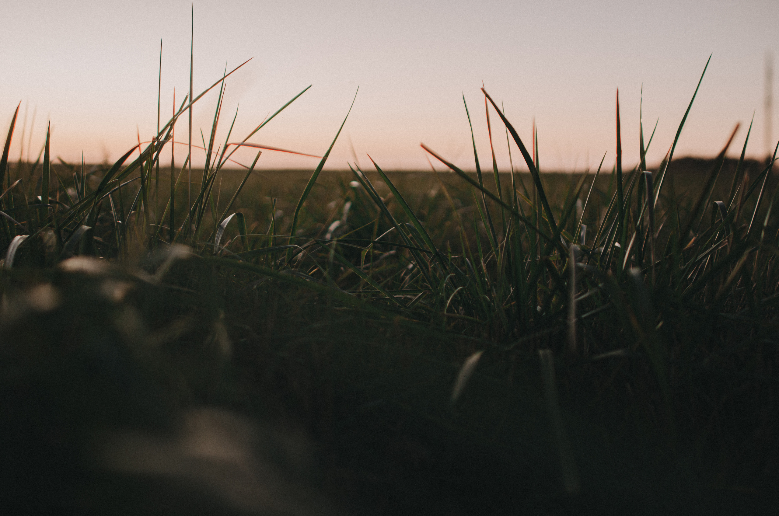 Моменты. Свадебный и портретный фотограф в Калуге Mary Lia