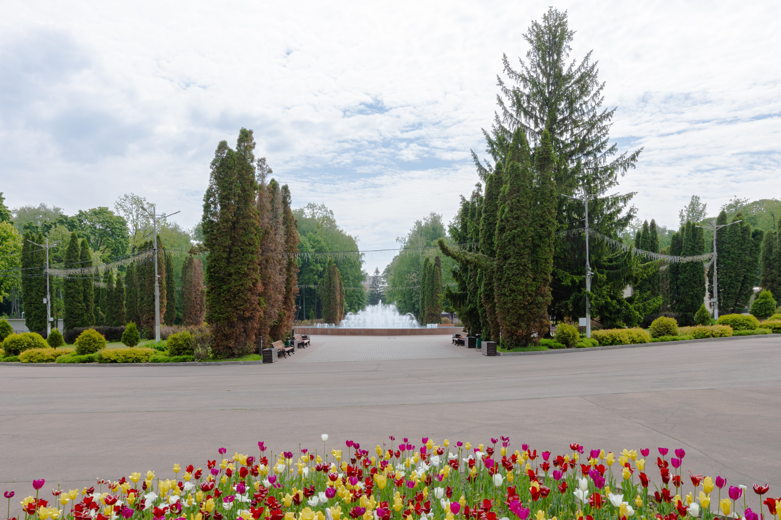 Парк им. П. П. Белоусова г. Тула 2024 г. Фотограф в Туле Крупский АнДРей. Фотостудия «КАДР71» в Туле