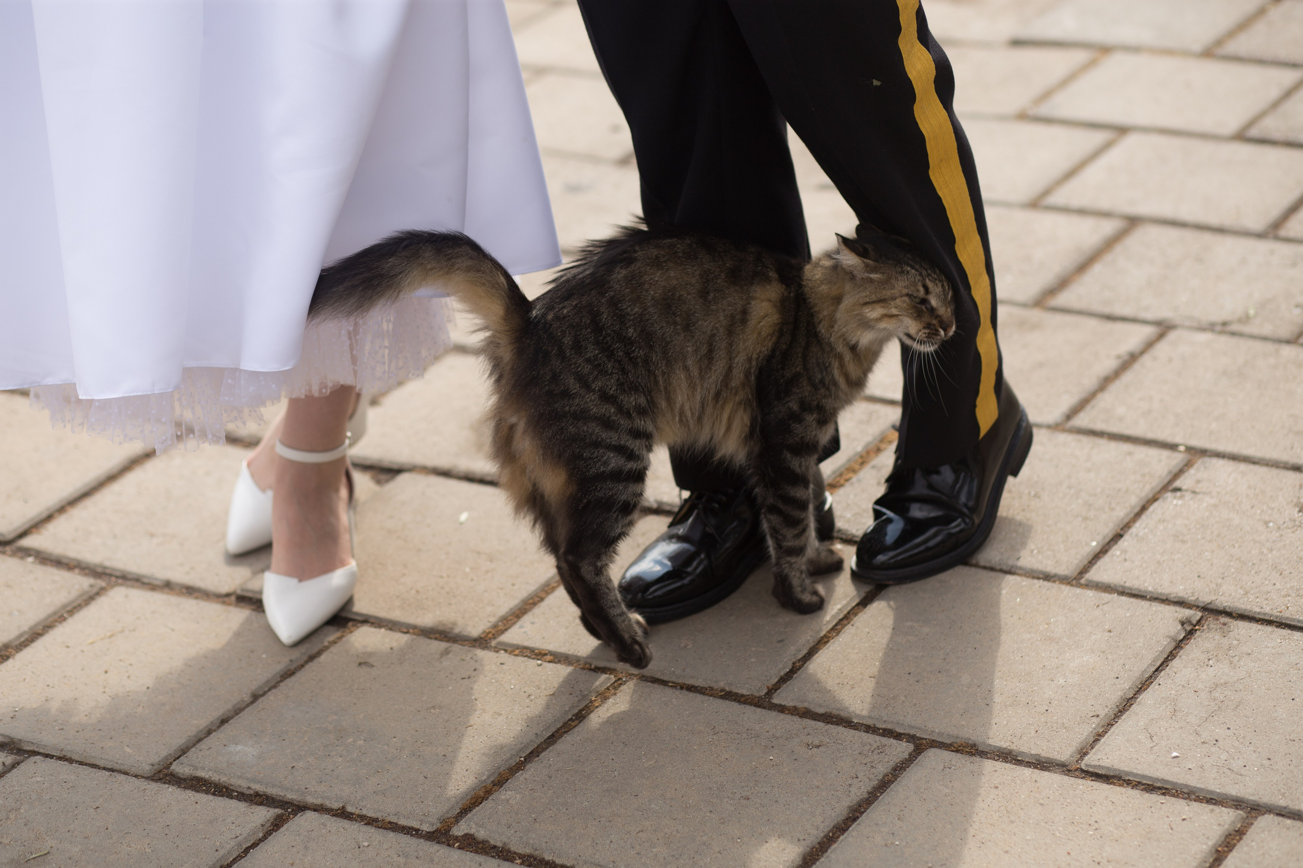 Wedding in Foca. Professional family and children’s photographer in Izmir Irina Eron