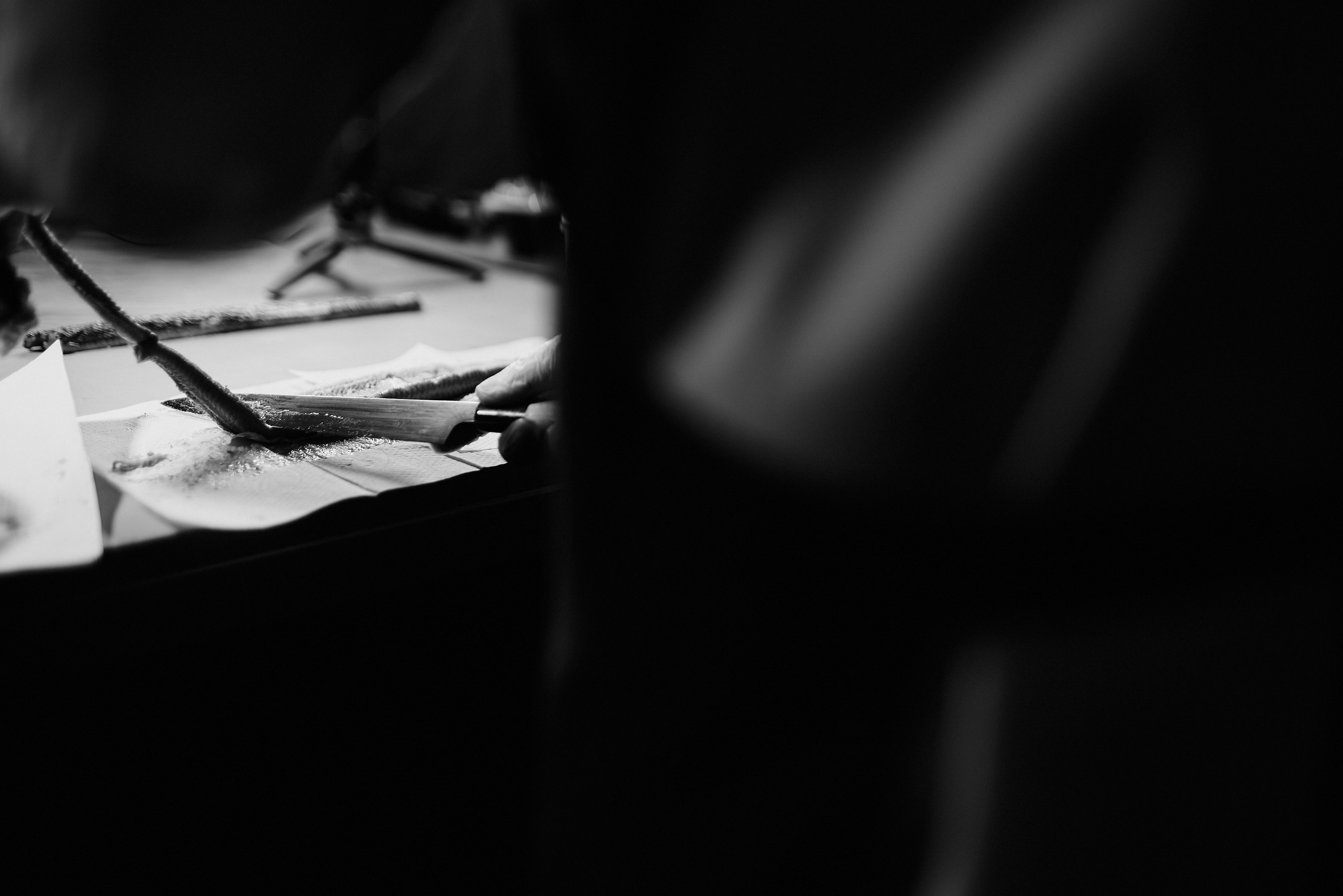 Бэкстейдж для BLUEFIN