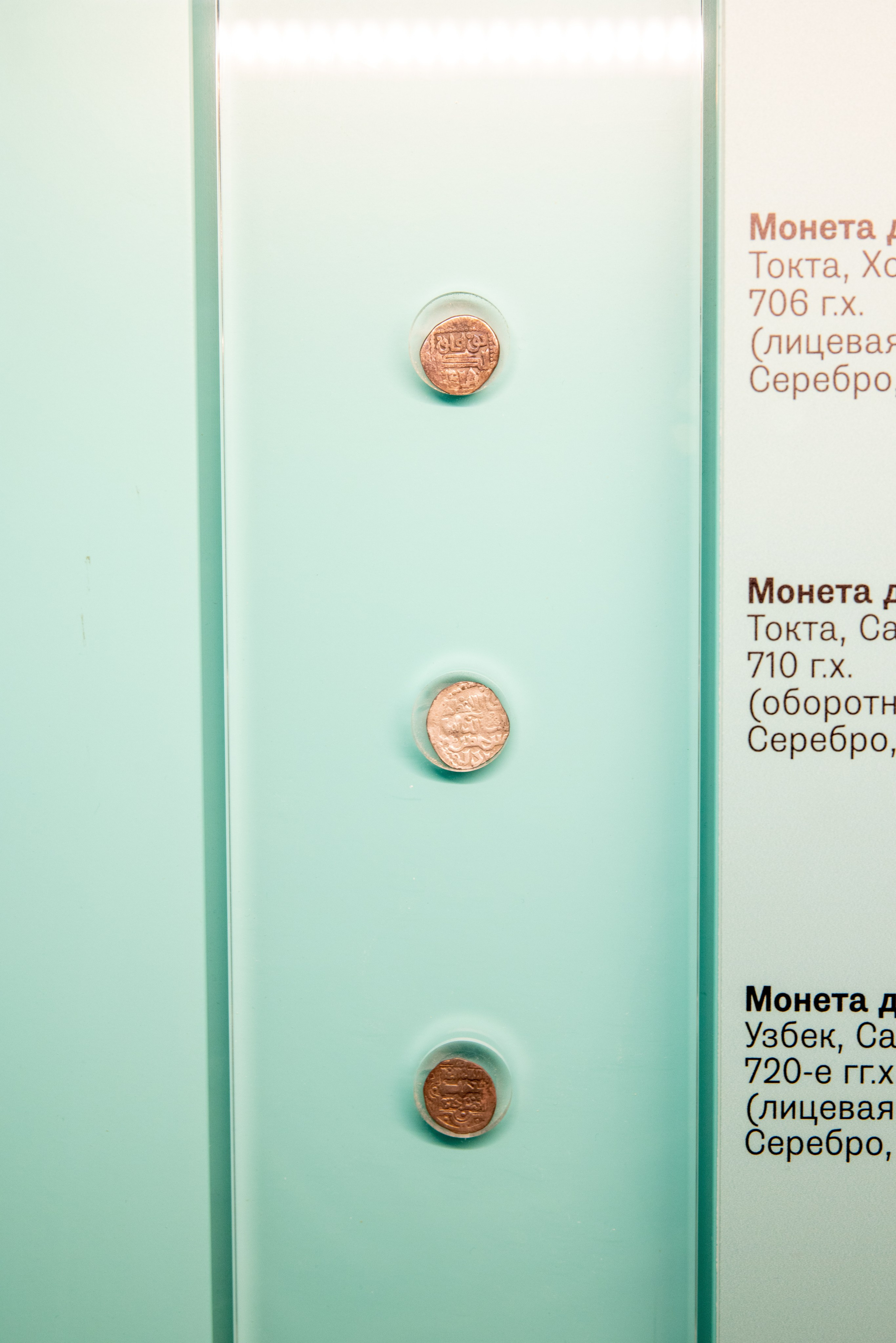 Поездка на поле Кулеково. Фотограф в Туле Крупский АнДРей. Фотостудия «КАДР71» в Туле