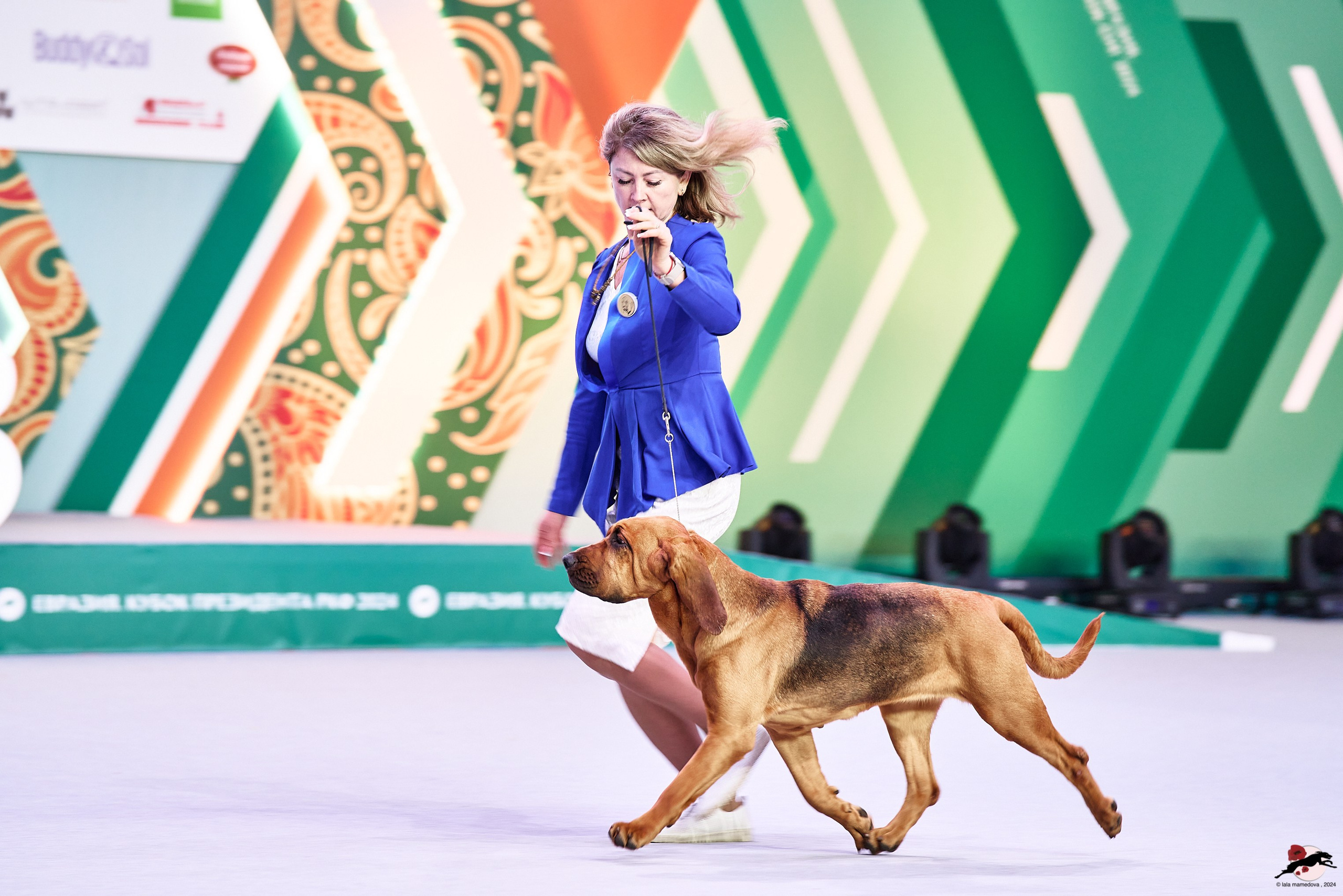 16.11.2024 «ЕВРАЗИЯ. КУБОК ПРЕЗИДЕНТА РКФ 2024»