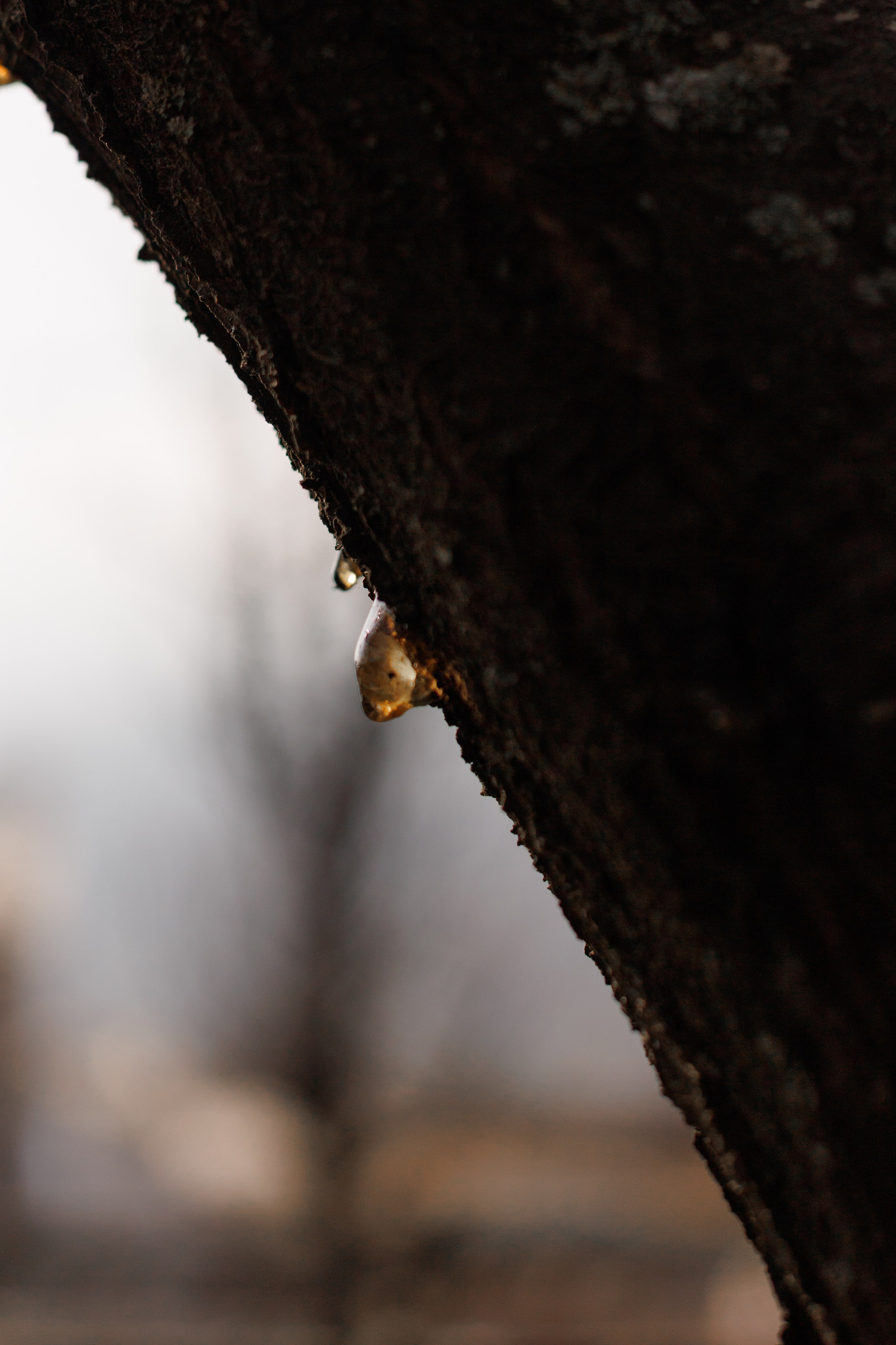 С папой вдвоем. Фотограф в Симферополе Мария Назарова