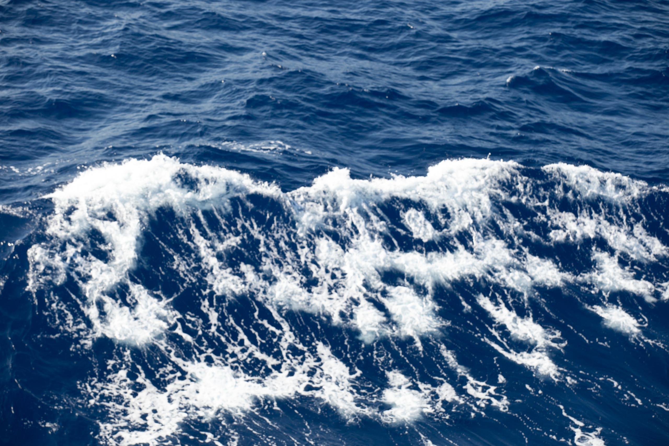 ОТПУСК. Репортажная и студийная съёмка в Челябинске — Захар Стеничкин