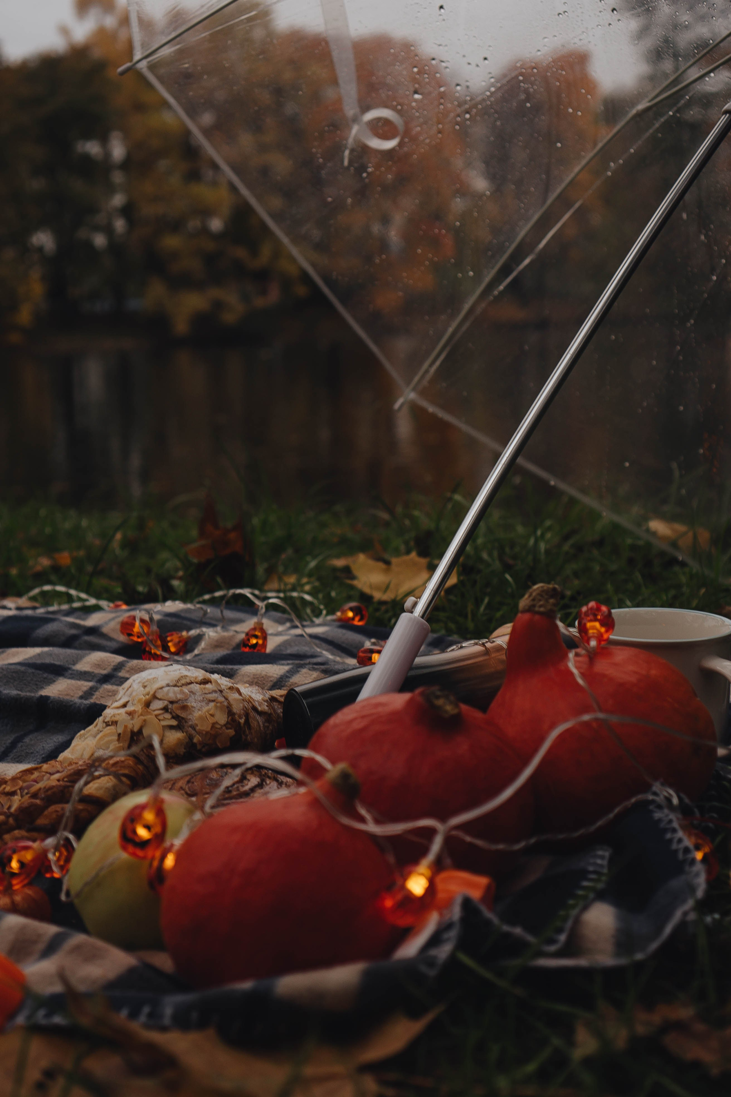 Осень. Профессиональный фотограф, Санкт-Петербург — Виктория Богомолова