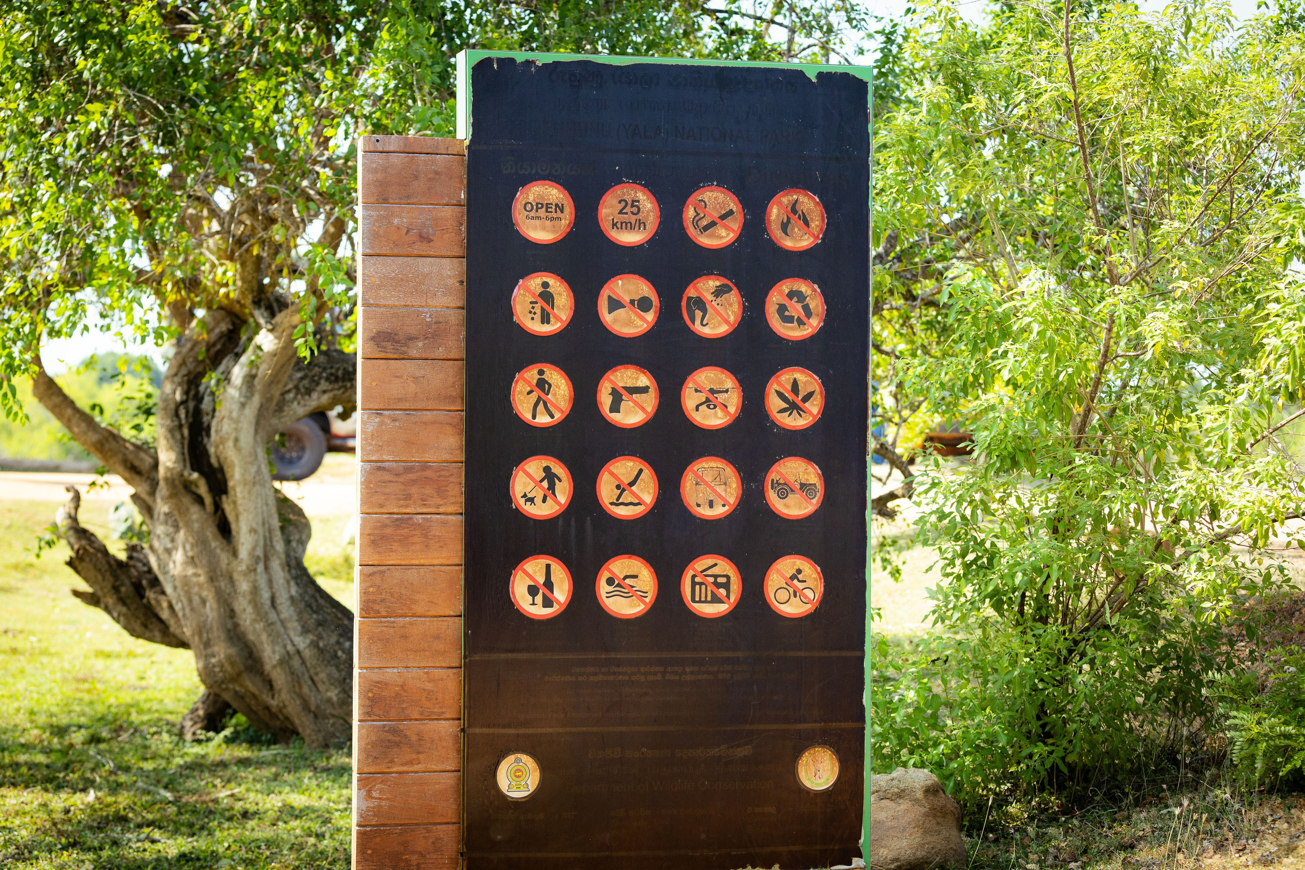 Шри-Ланка (весна 2024). Фотограф Виноградов Константин